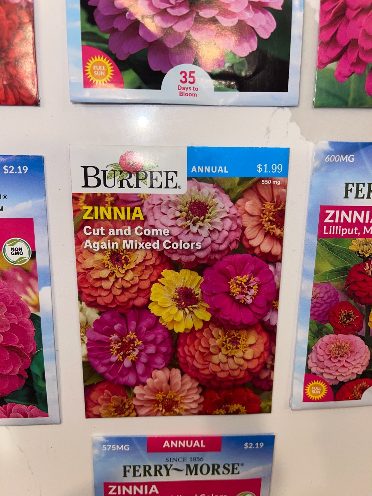 10 PACK BUNDLE LOT ZINNIA SEEDS