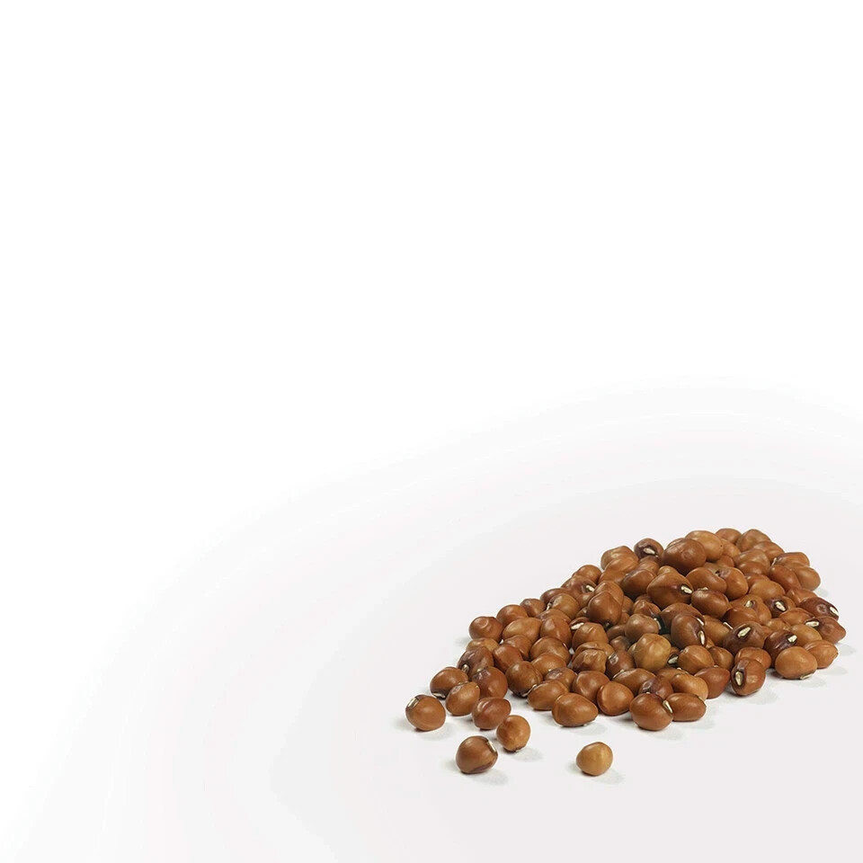 Non-GMO High Fiber Camellia Dried Field Peas 2 lb Pack for Healthy Meals