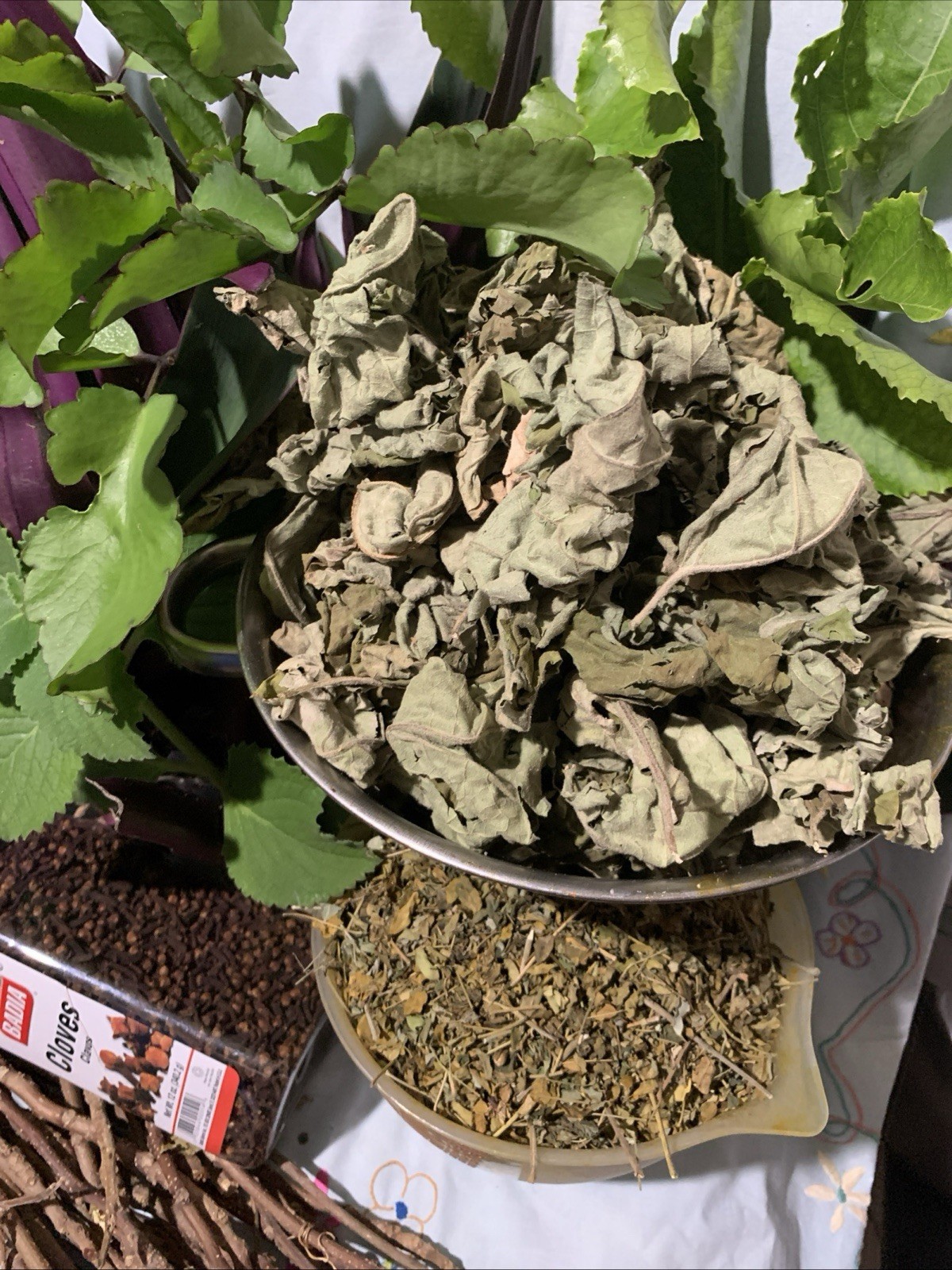 💥Bundle Dry Zanmoret Leaves Pea Eggplant Turkey Berry Oregano Moringa cathedral