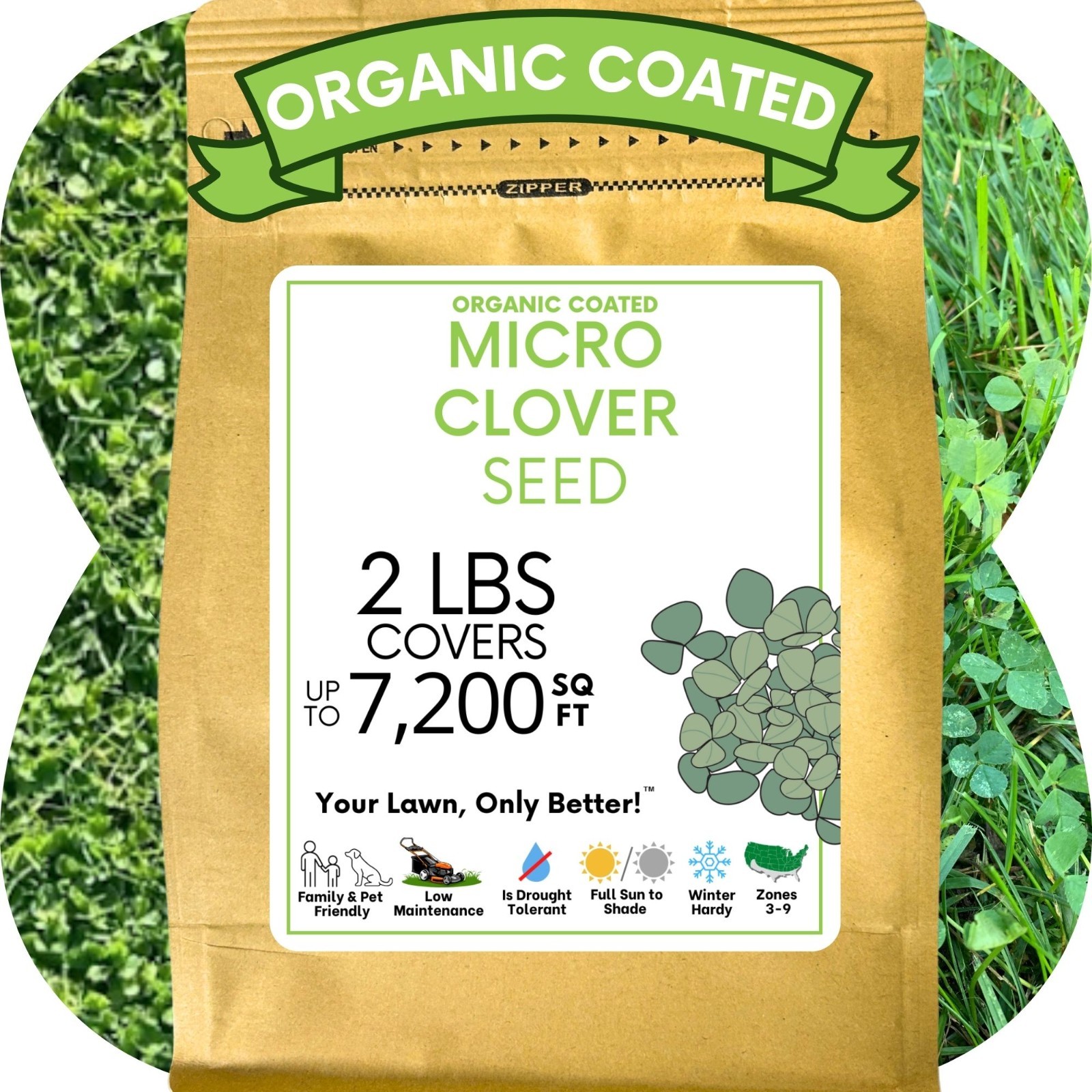 Micro Clover Seed, Organic Coated, Eco-Friendly, Low Growing, Low Maintenance