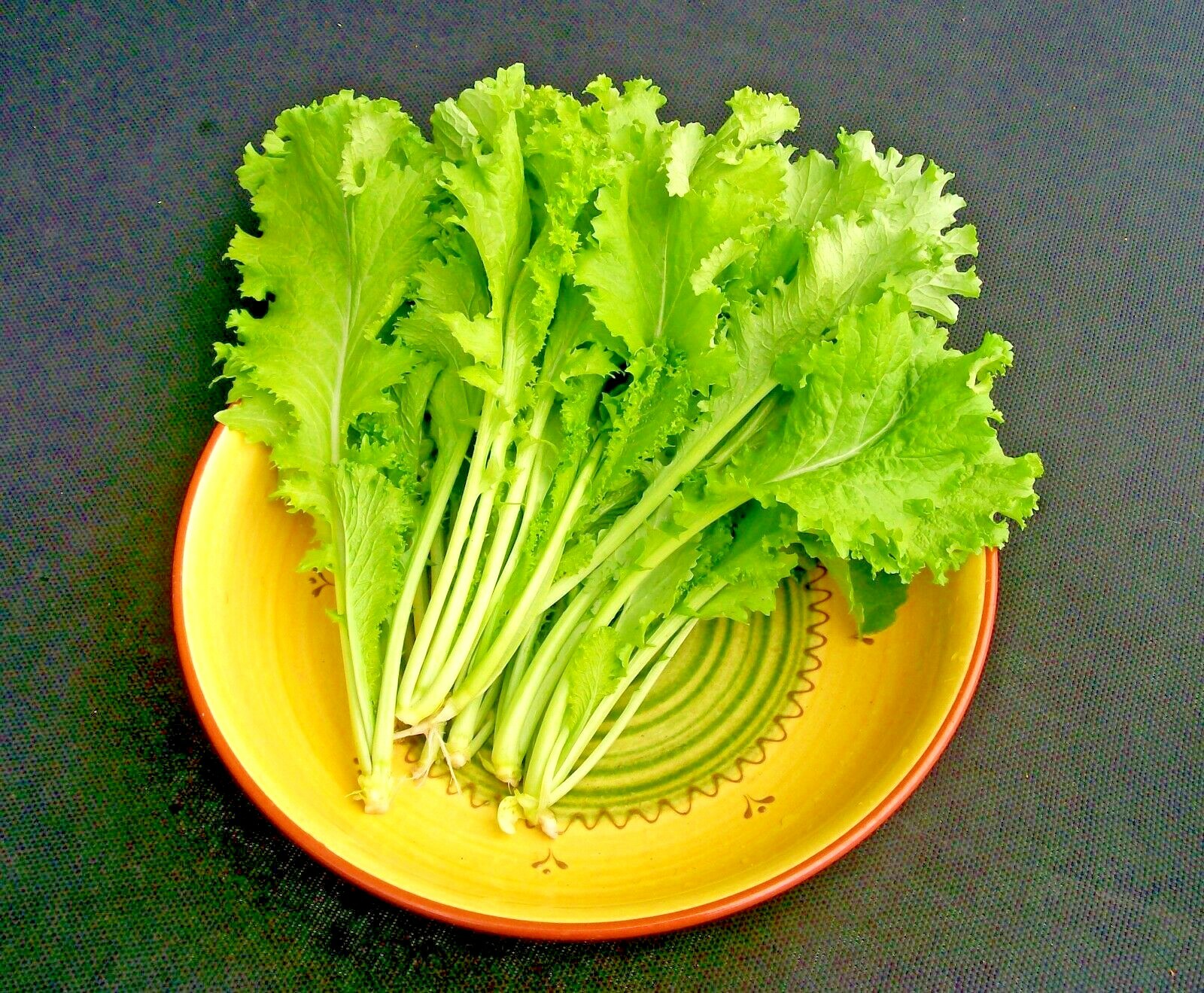 601+GIANT CURLED MUSTARD Seeds Heirloom Vegetable Garden Container Greens Easy