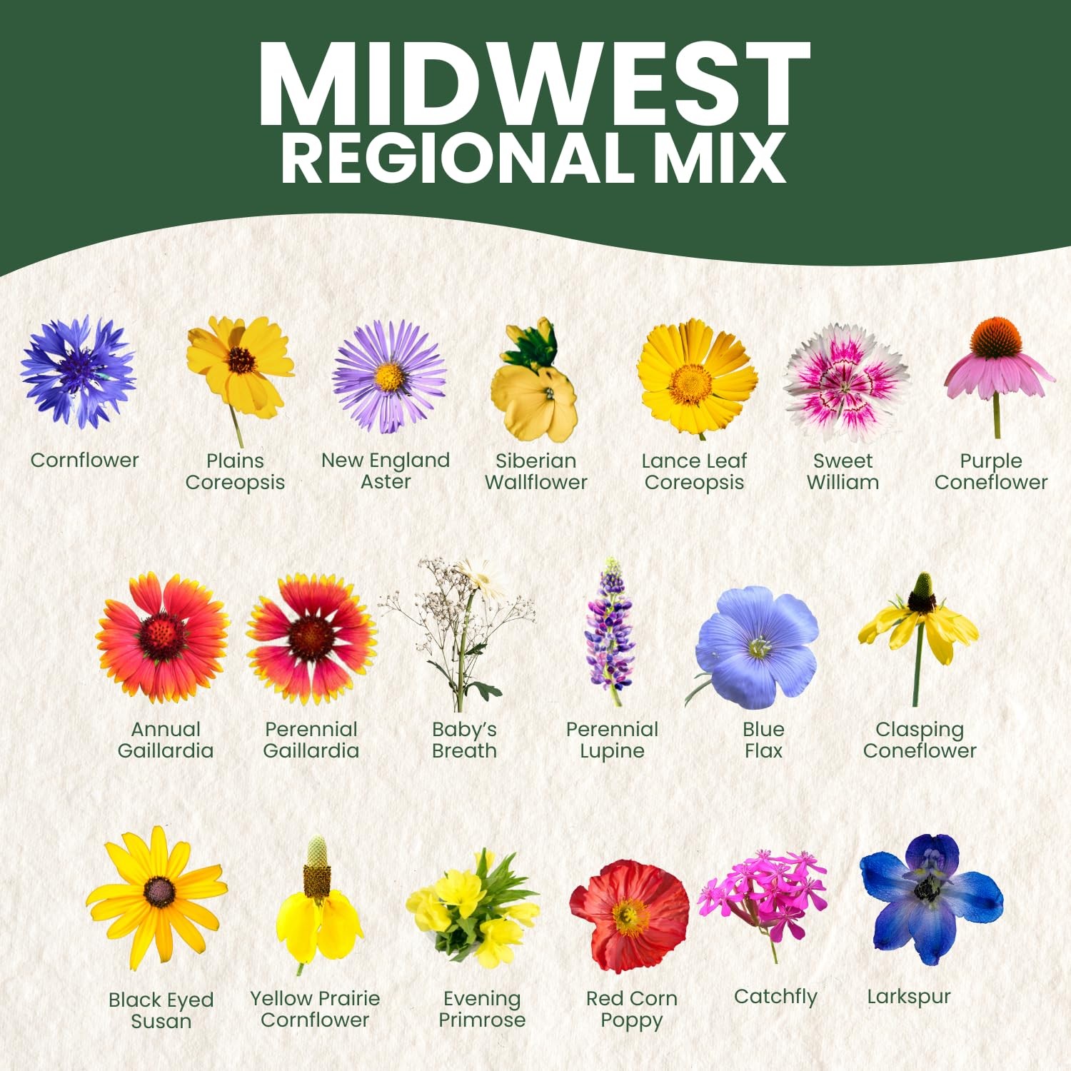 Midwest Regional Wildflower Seeds – 2,500 Seeds, 5 Gram Pouch – Native Blend