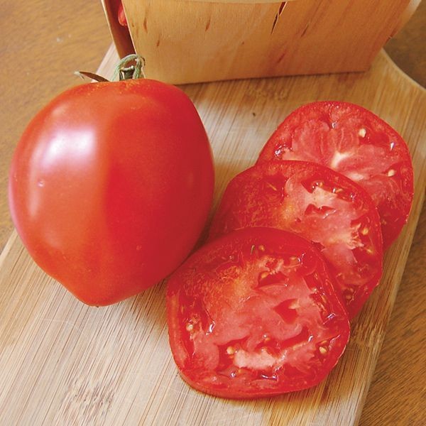 Heirloom Paste Tomato Seed Combo – 300 Seeds Total – Three Top Pasting Varieties
