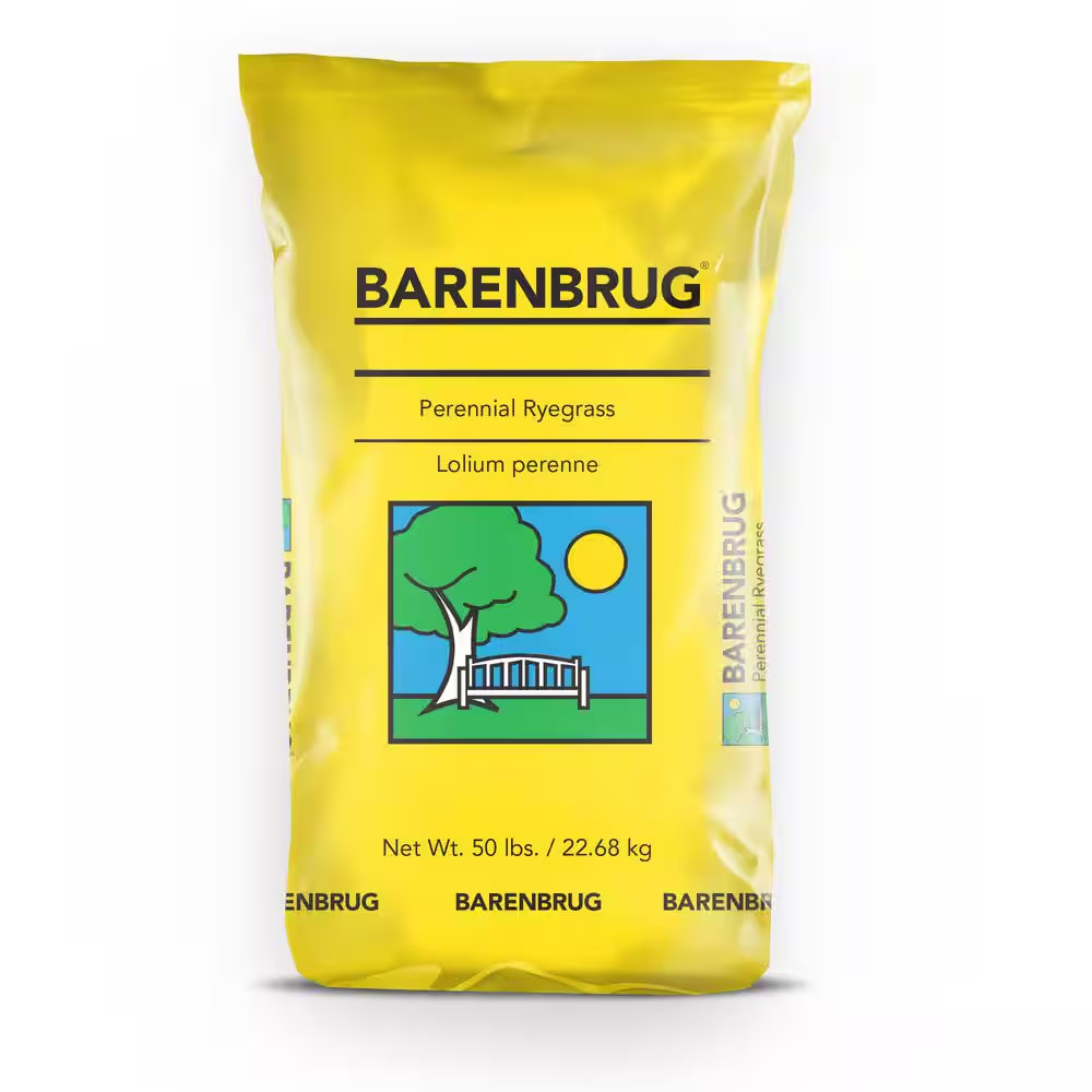 50 Lbs. Barlennium Perennial Ryegrass Seed
