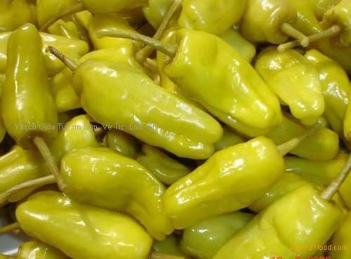 Pepper Hot Pepperoncini Great Heirloom Vegetable By Seed Kingdom 100 Seeds