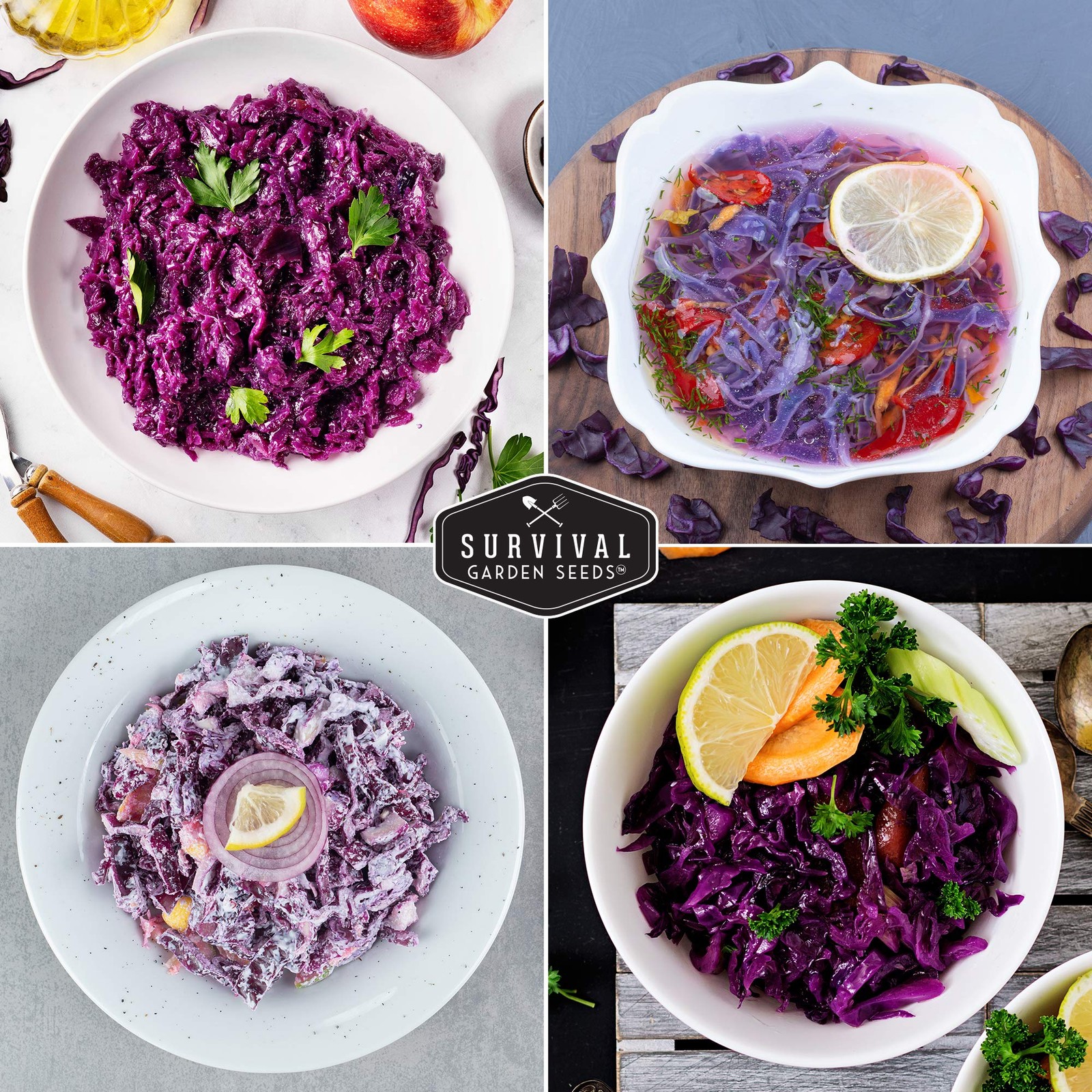 Red Acre Cabbage Seeds for Planting – Heirloom Purple Variety with Compact He…
