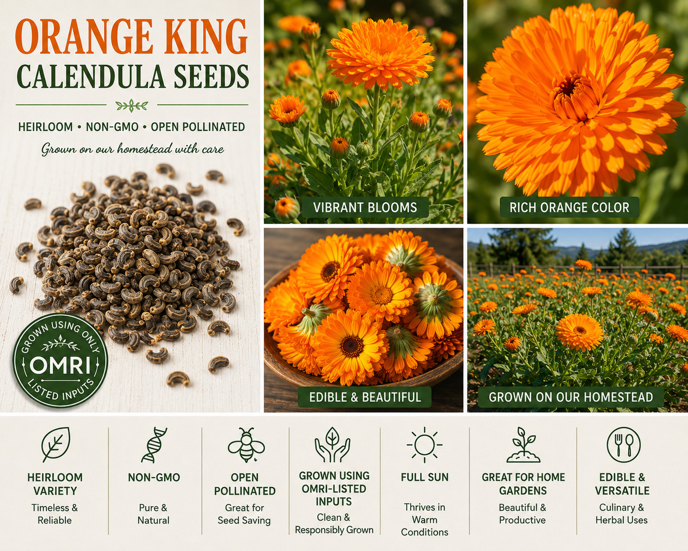 Orange King Calendula Seeds Heirloom Non GMO Vegetable Garden Seeds
