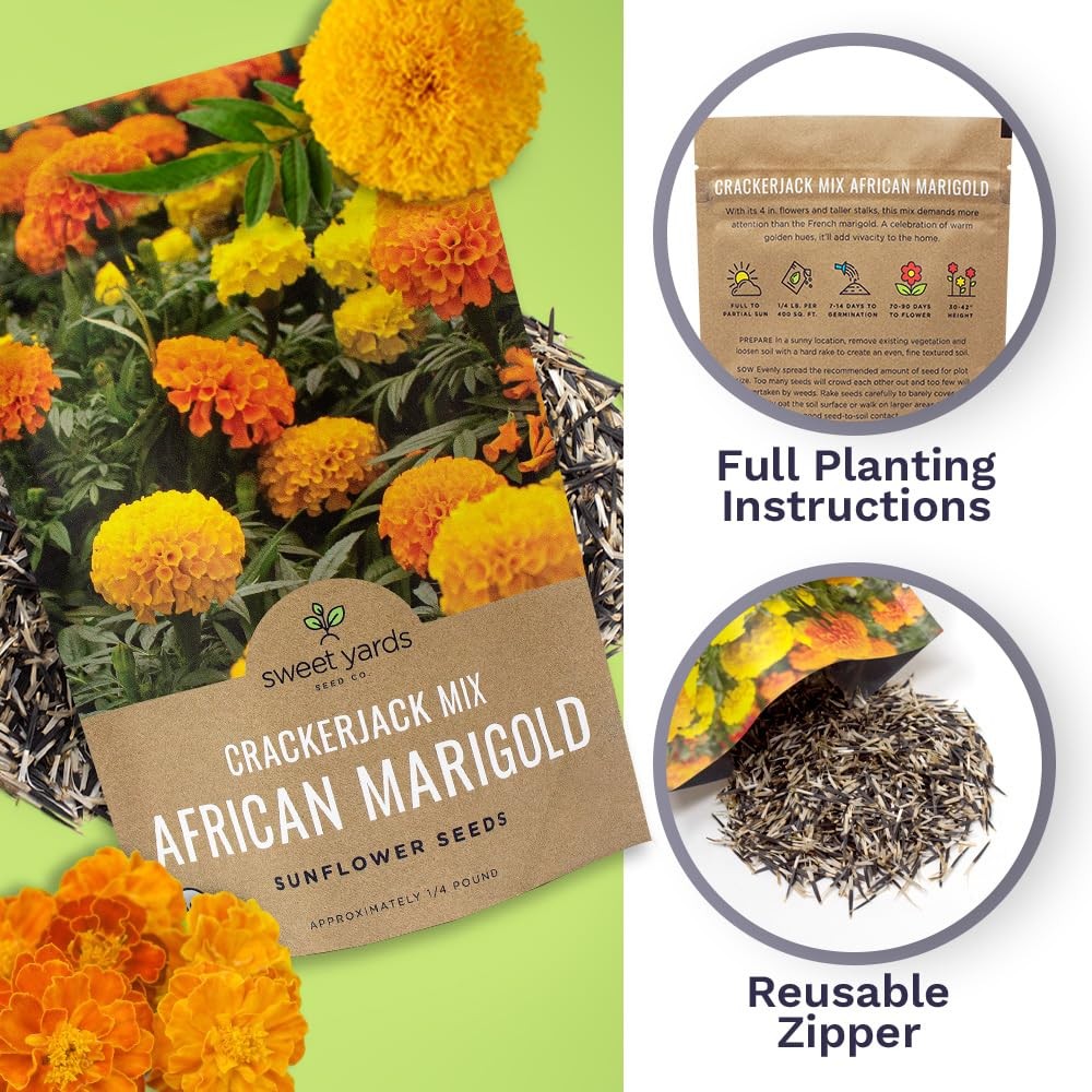 African Marigold Seeds Crackerjack Mix 4 Ounce (Pack of 1), Yellow and Orange