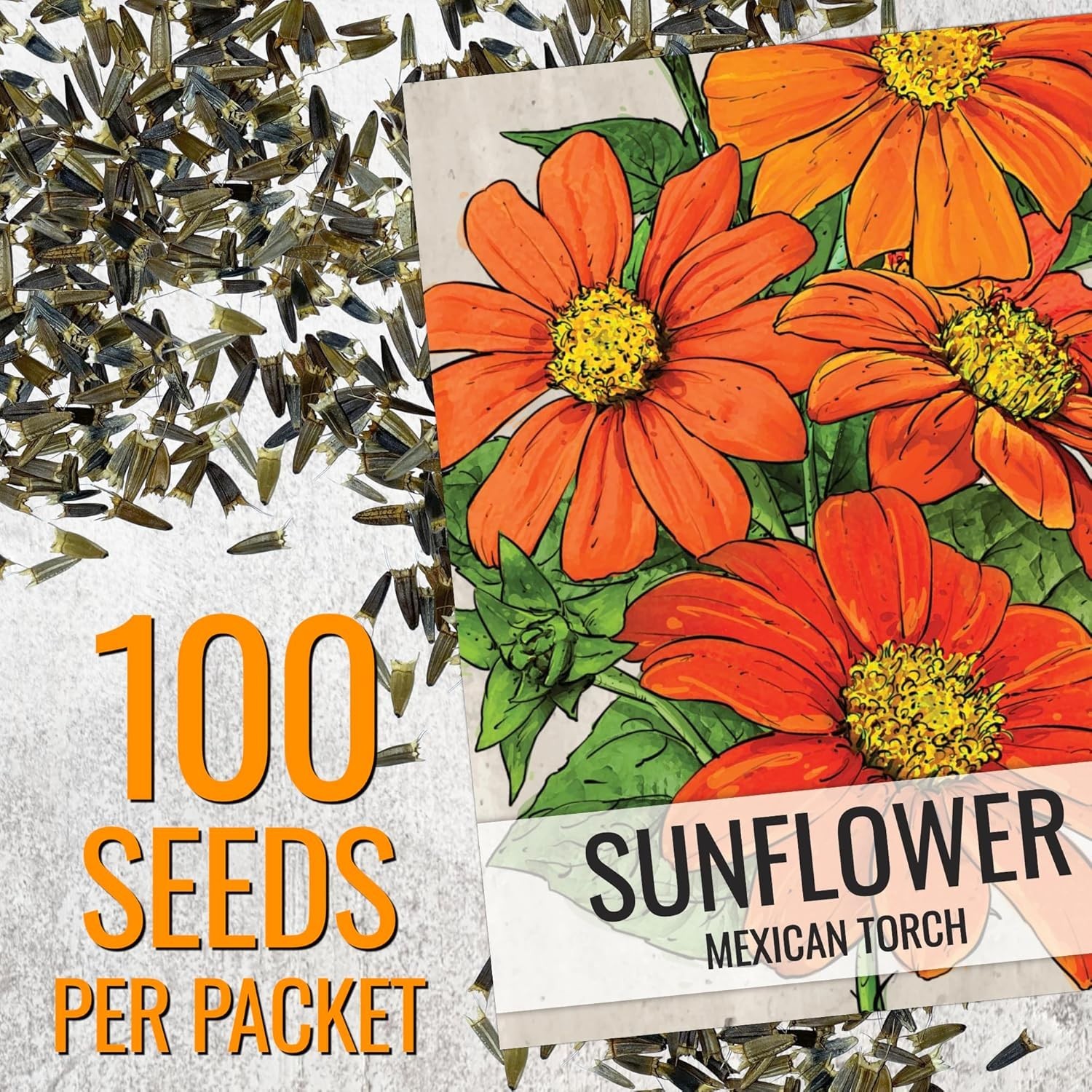 Mexican Sunflower Seeds – Heirloom Tithonia for Butterfly Gardens – 1 Pack
