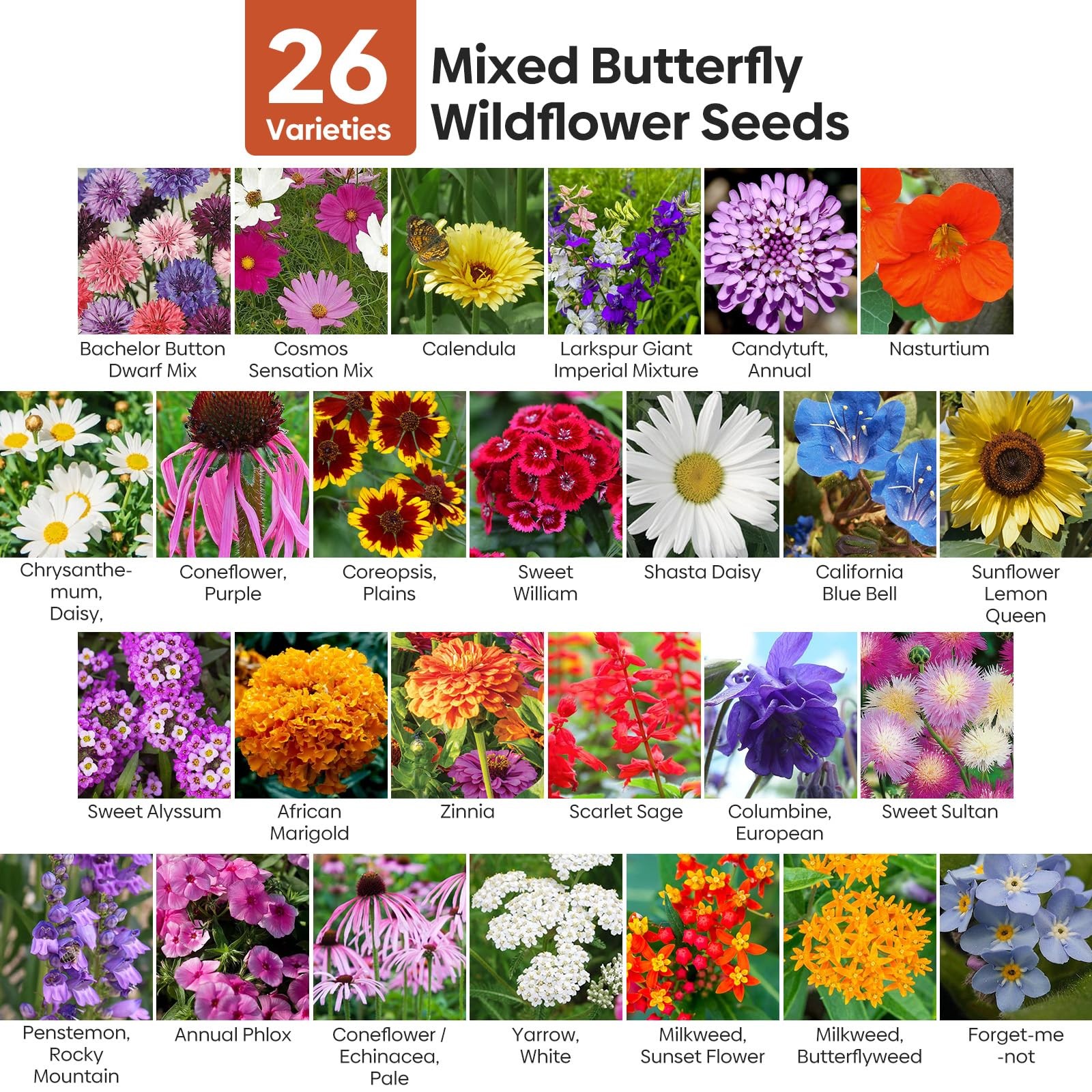 All Perennial Wildflower Seeds Bulk Mix W/ Milkweed Pollinators Zones 3-10 1/4LB