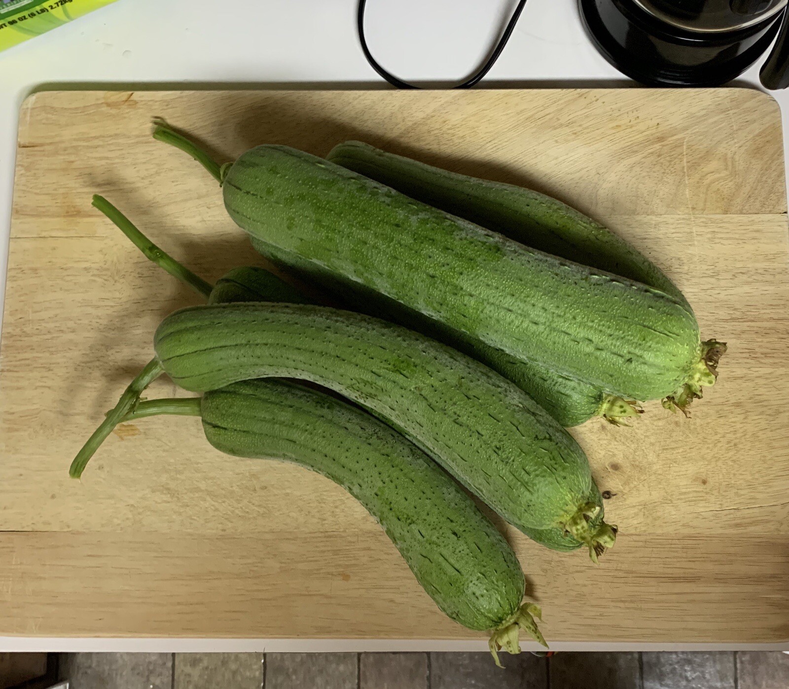 20 Luffa seeds 2023 fall fresh Non-GM Organic 丝瓜 种子