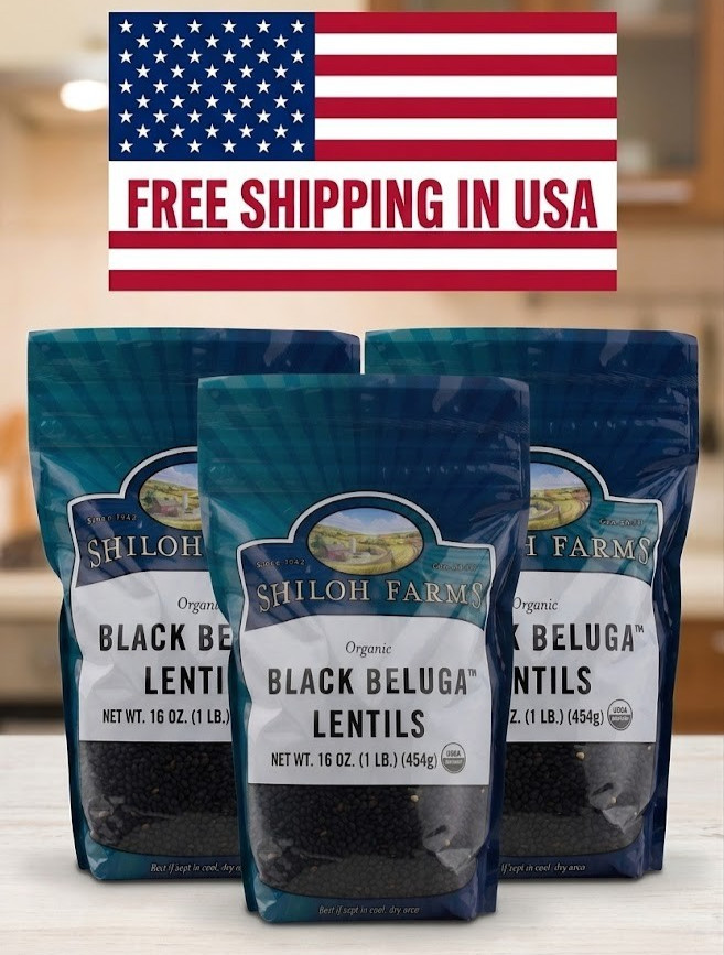 Shiloh Farms Organic Petite Black Lentils — 1l b (pack of 3)