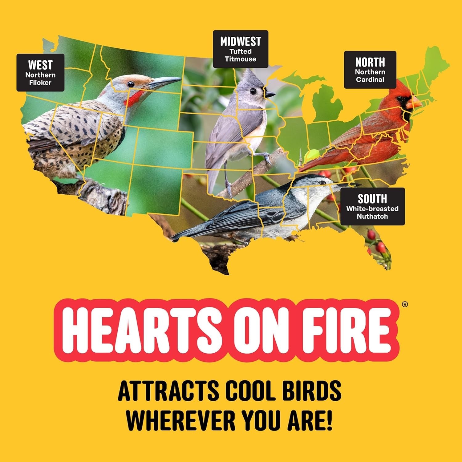 Hearts on Fire Hot Bird Seed – 10 lb. 100% Hulled Sunflower Hearts with Chili…