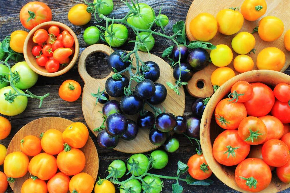 “Midnight Snack” Black Cherry Tomato Seeds for Planting – 100+ Seeds – Amazing T