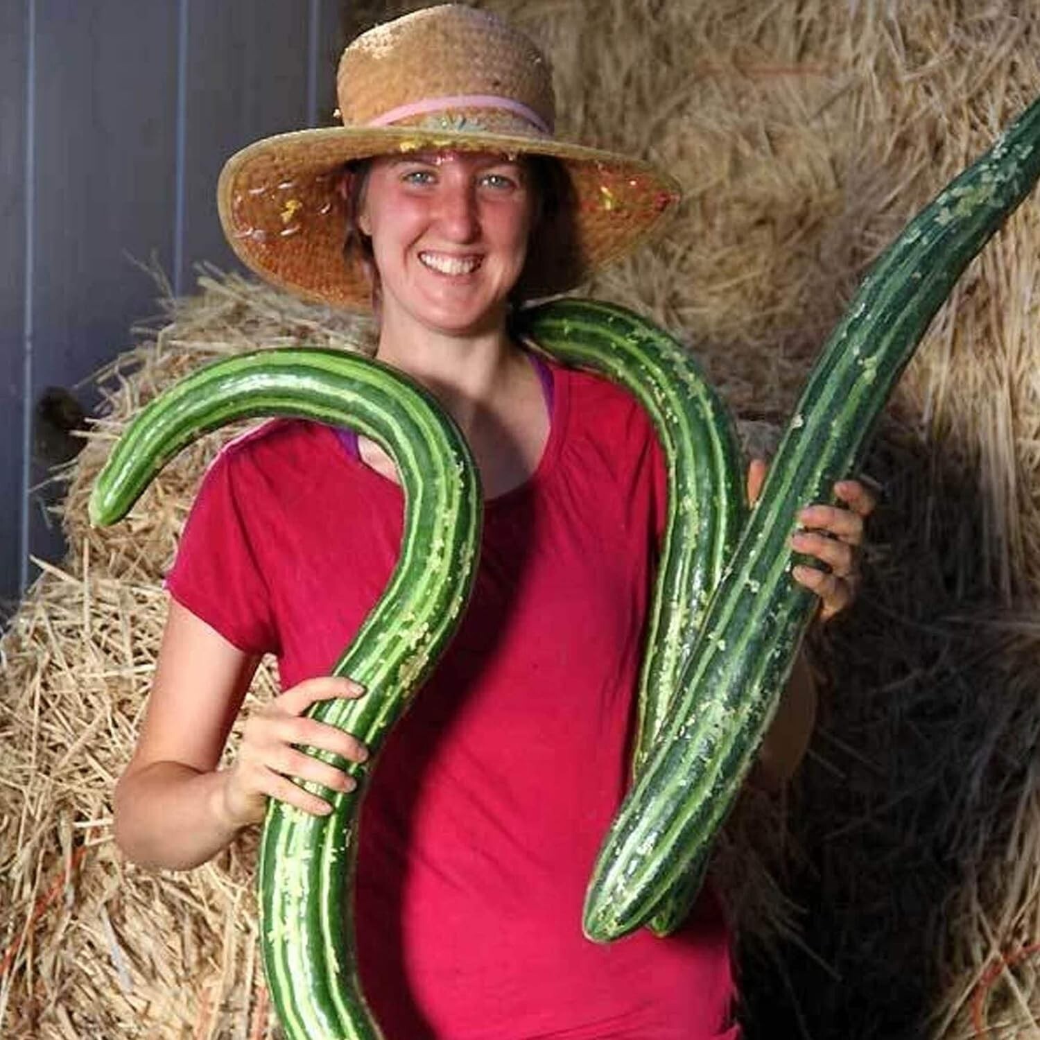 25+ Painted Serpent Cucumber Seeds – ORGANIC – HEIRLOOM – NON GMO — RARE