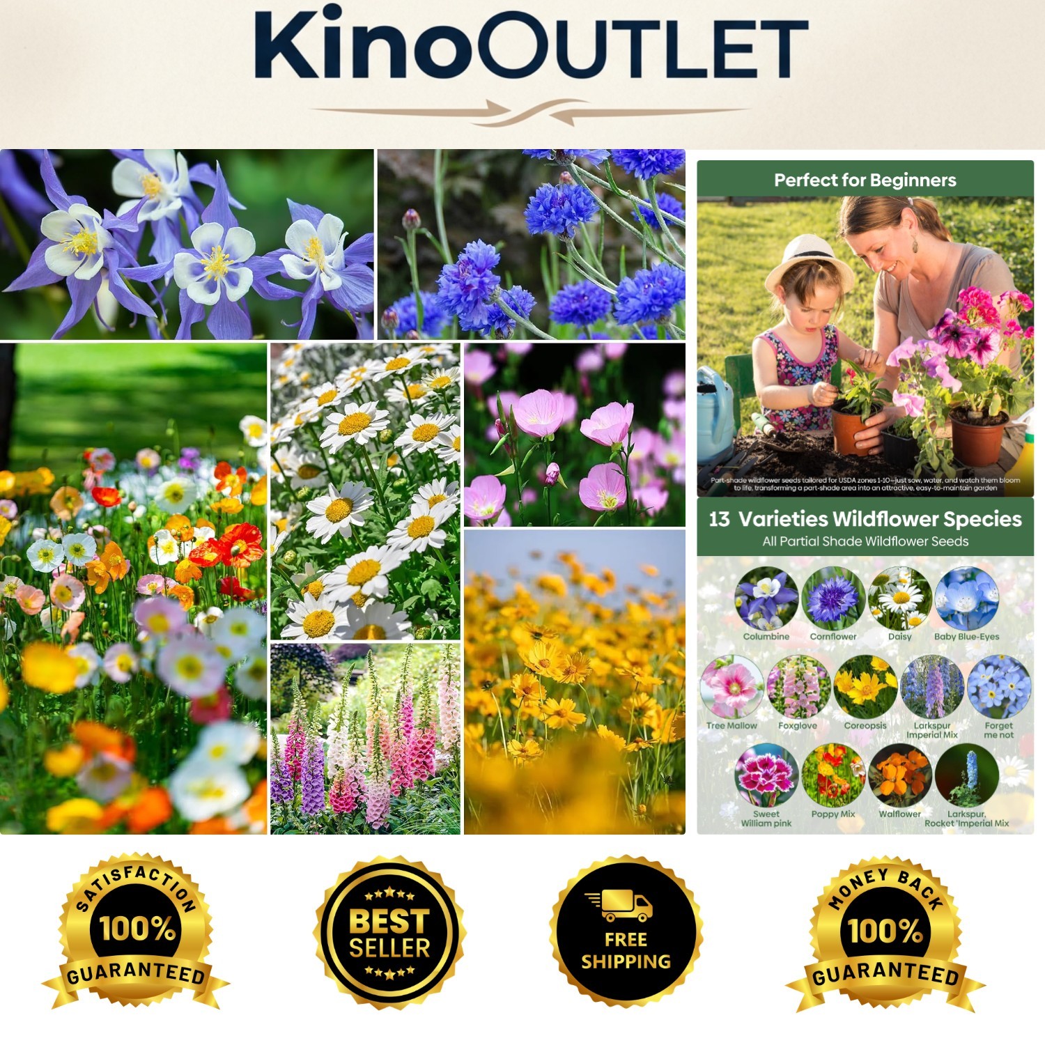 1 Ounce of Fragrant Wildflower Seeds – Shade Resistant Varieties for Your Garden