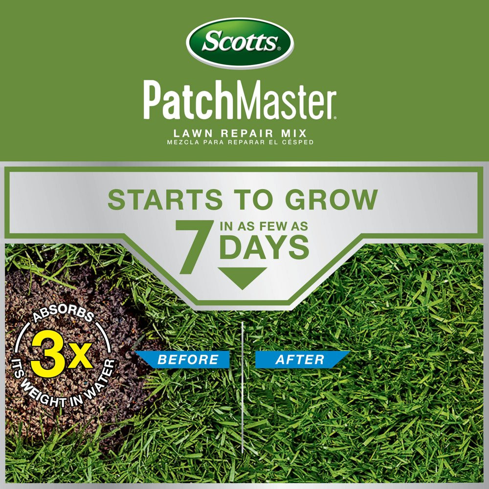 Scotts Patchmaster Grass Seed Lawn Repair Mix Tall Fescue Mix, 10 Lbs.
