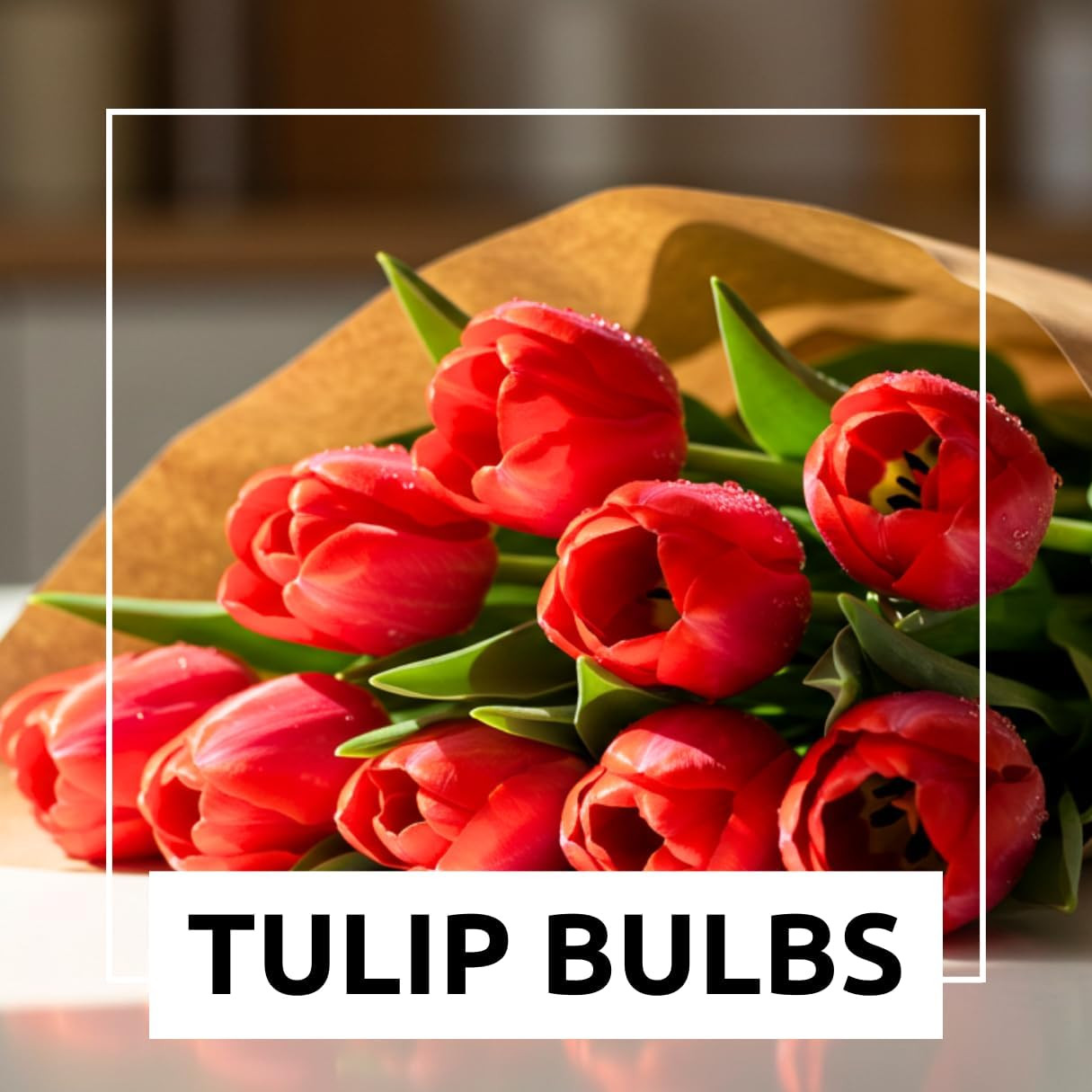 Best Red Tulip Bulbs for Planting – Easy to Grow – Fall Planting Flowers – Br…