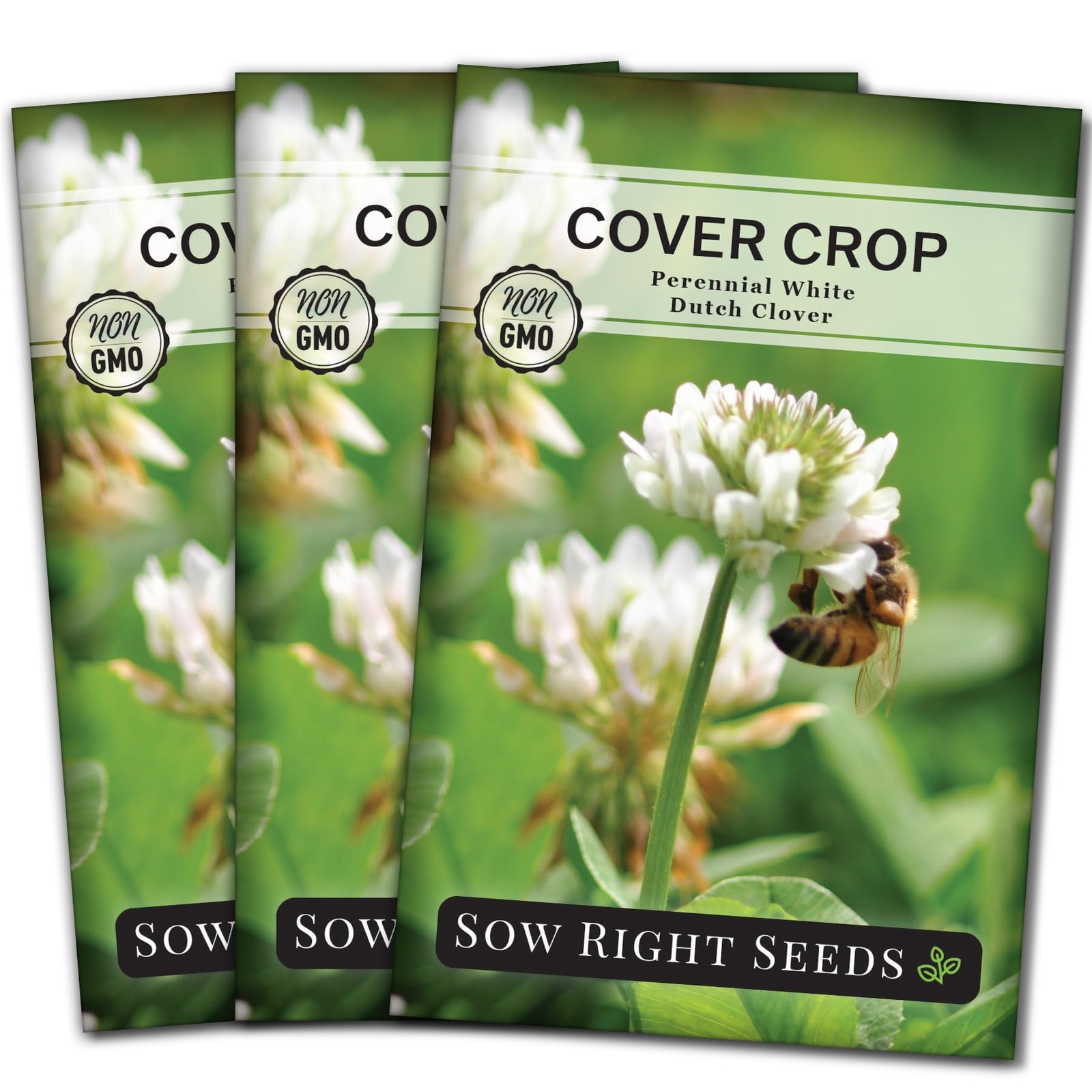 White Dutch Clover Seeds NonGMO Cover Crop for Gardens Attract Pollinators