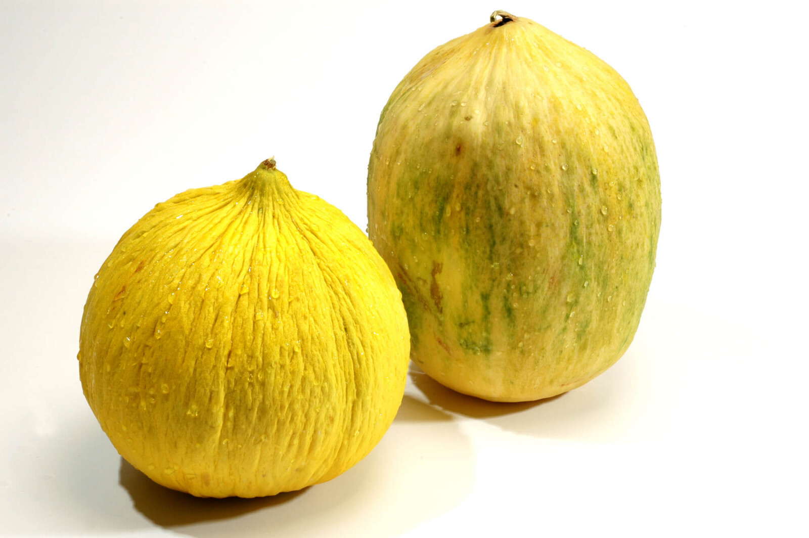 25 CRENSHAW MELON SEEDS NON-GMO FRESH HARVEST FOR GARDENS US SELLER