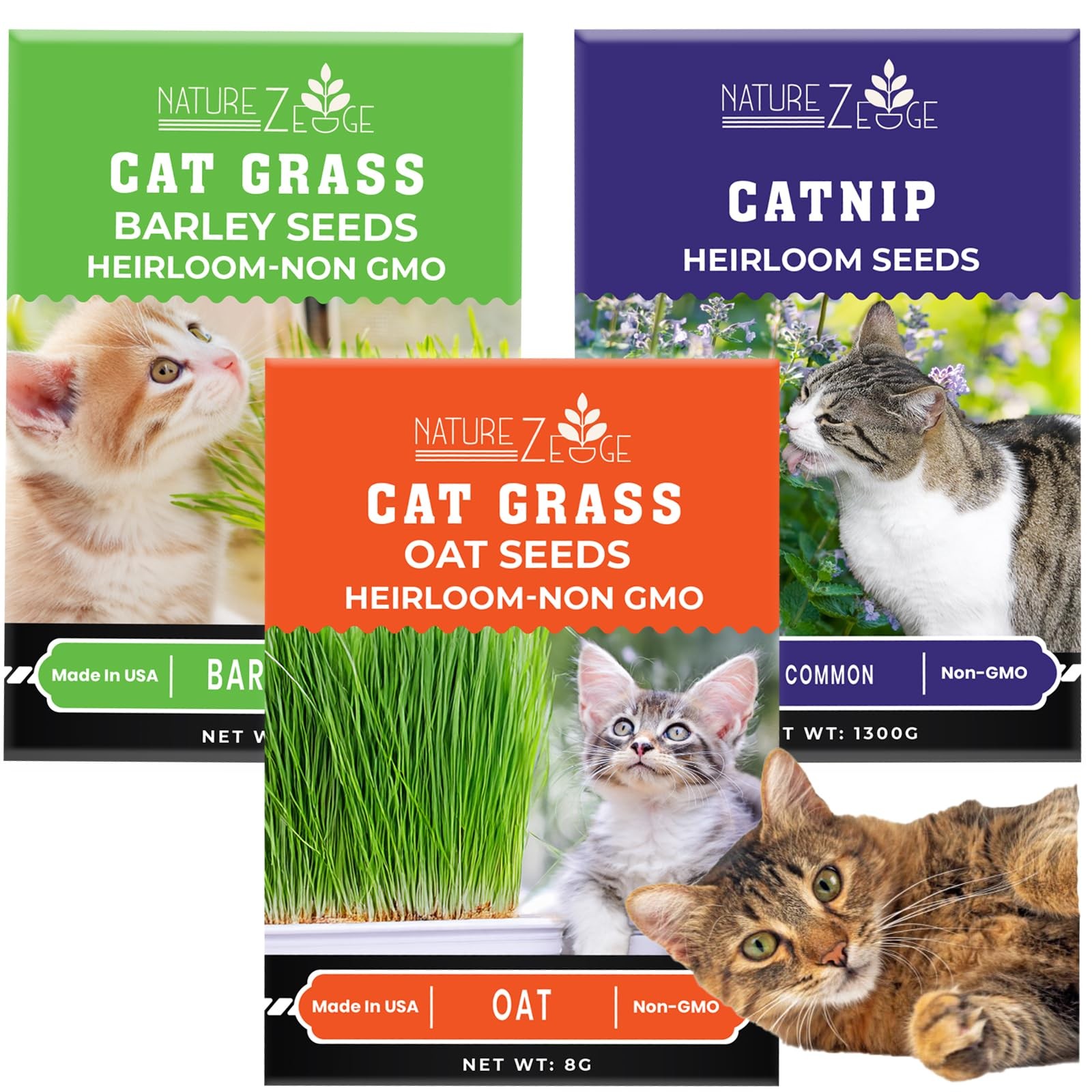 NatureZ Edge Cat Grass Seeds & Catnip Seeds – 3 Pack Variety Kit, Cat Grass f…