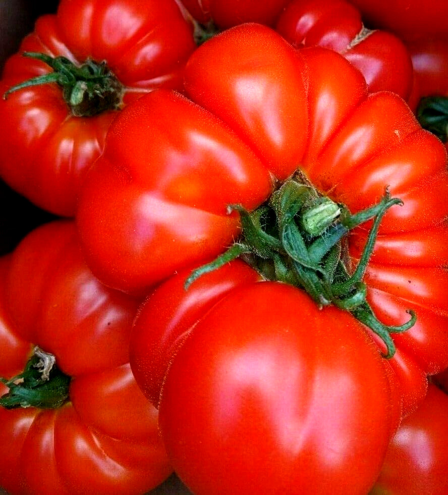 MARMANDE GIANT BEEFSTEAK RARE FRENCH TOMATO HUGE HEIRLOOM NON-GMO JUICY 30 SEEDS