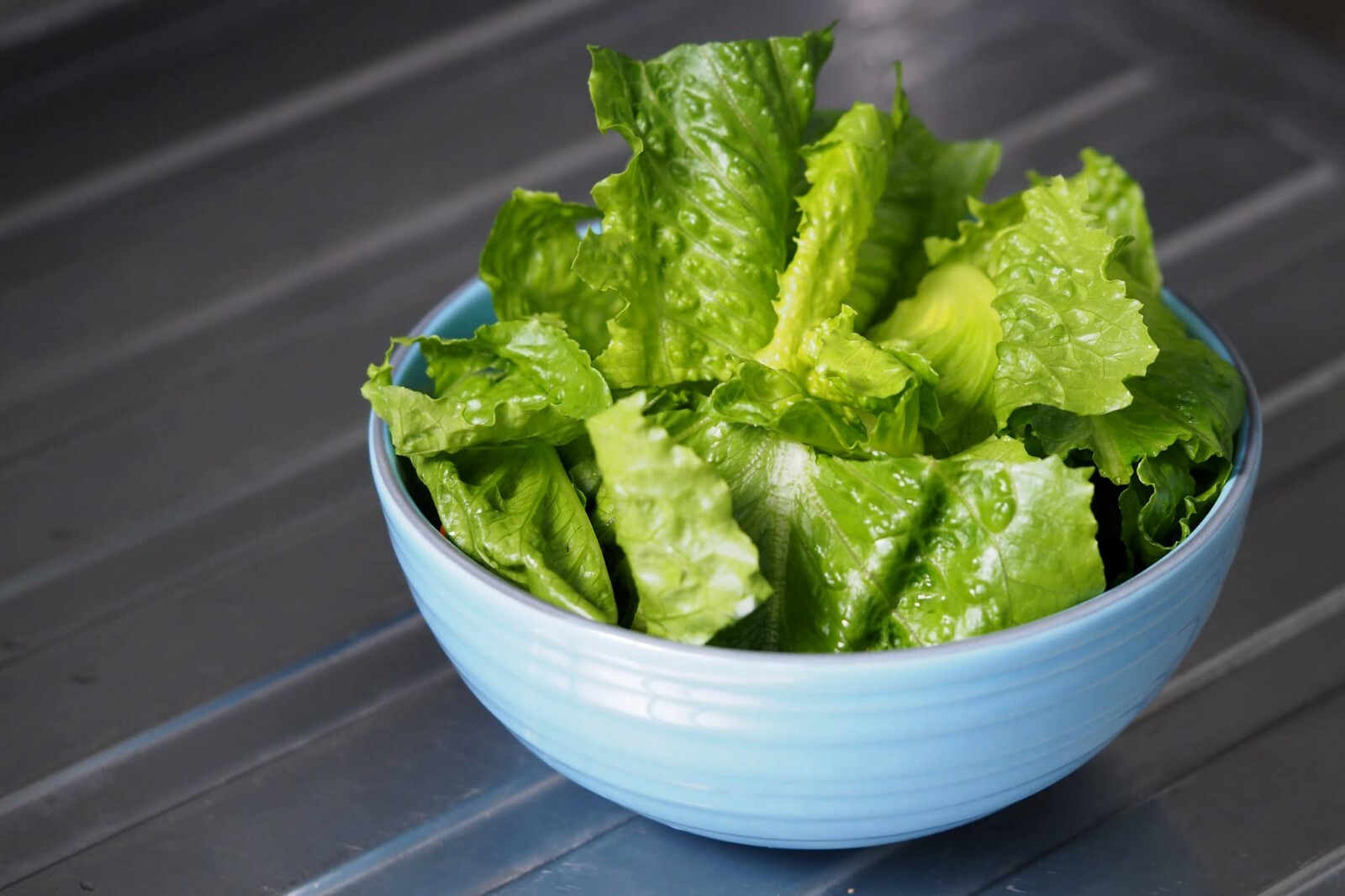 1200+ Parris Island Romaine Lettuce Seeds | Non-GMO Lettuce Seeds