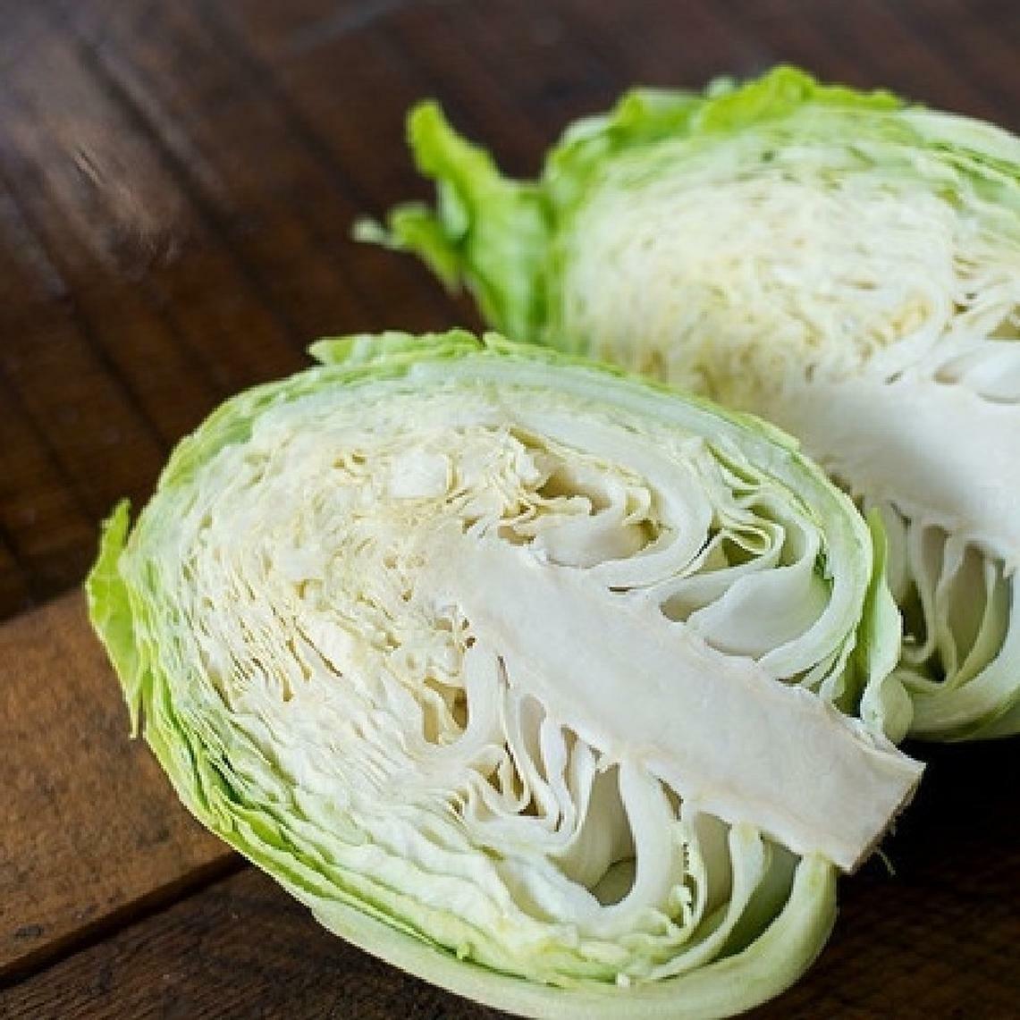 601+JERSEY WAKEFIELD Cabbage Seeds Heirloom Spring Fall Garden Container Easy