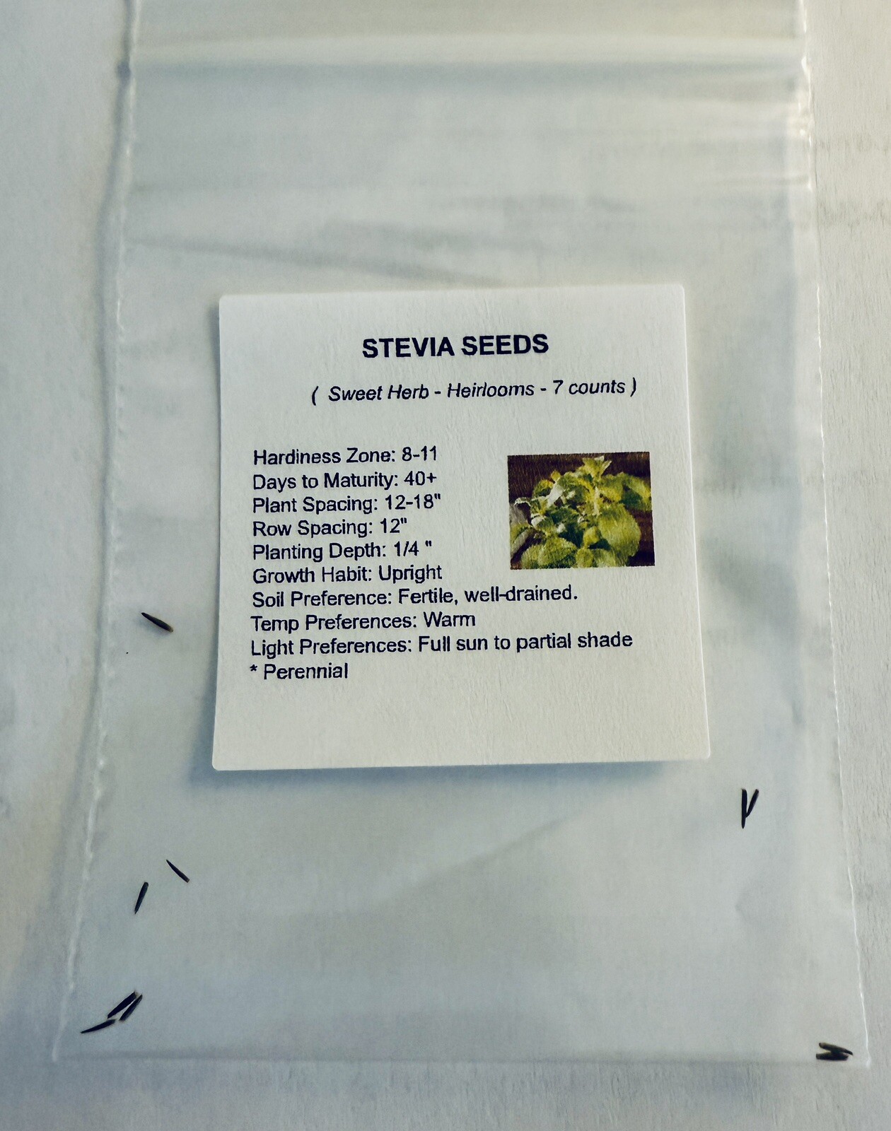 Stevia Seeds – Sweet Herb – 7 counts