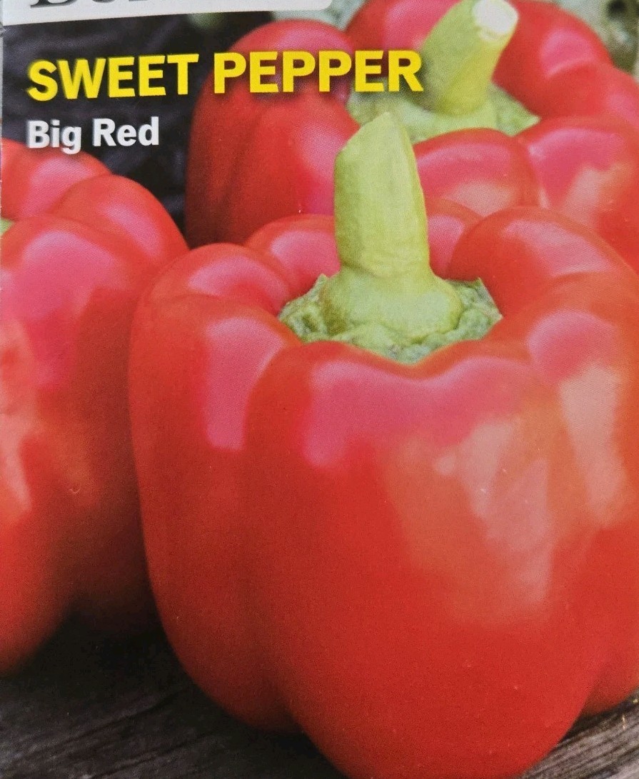 50 Seeds Sweet Pepper BIG RED Container Friendly