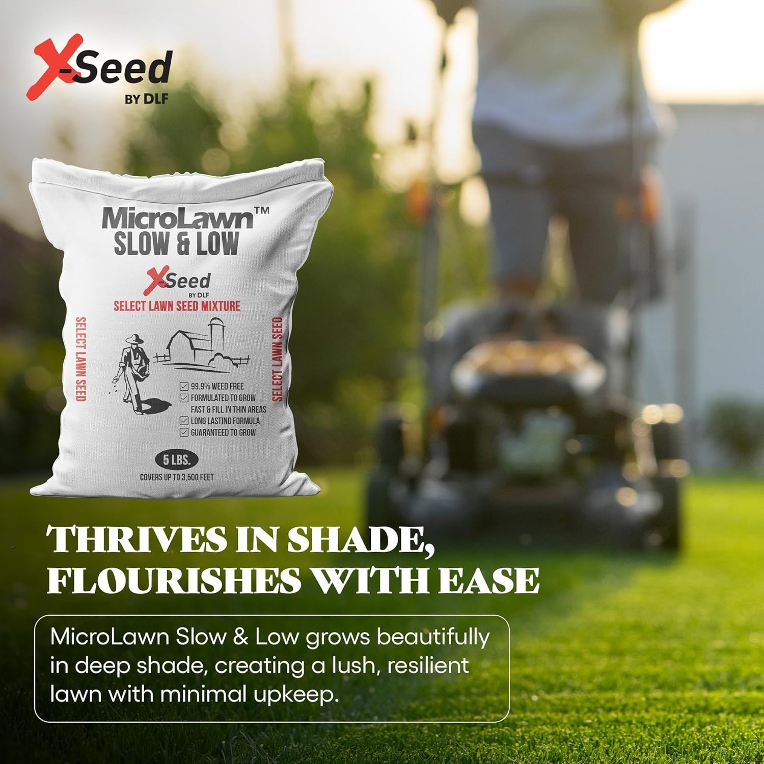 X-Seed Micro-Lawn Slow & Low Grass Seed for Cool Season Lawns, No Mow Natural