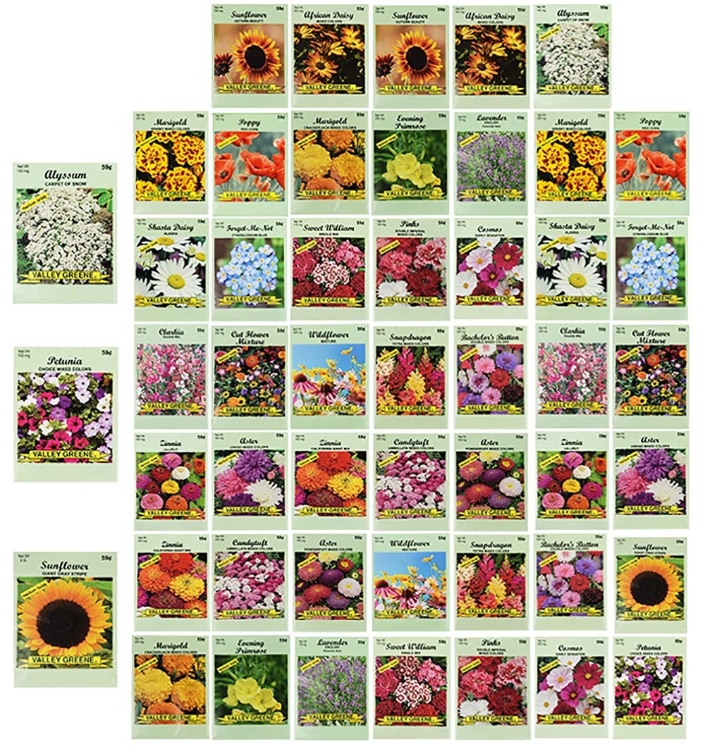 50 Flower Seed Packets Bulk Assortment with 10+ Varieties Available