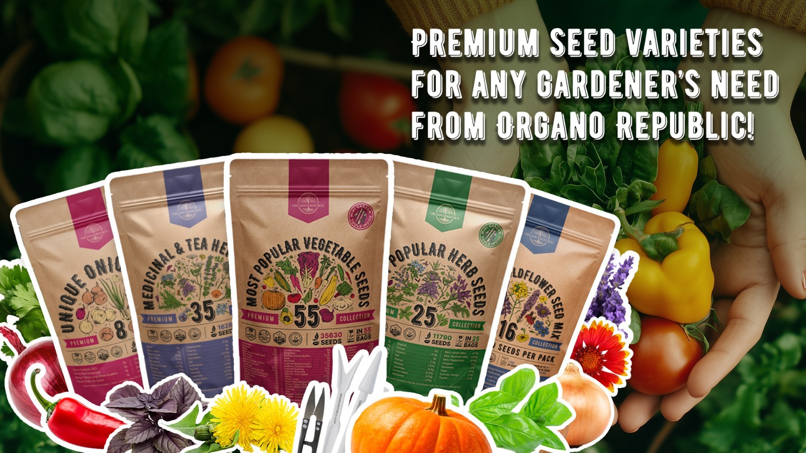 25 Herb Seeds Variety Pack – 11,700 Non-GMO Heirloom Seeds for Hydroponic & Indo