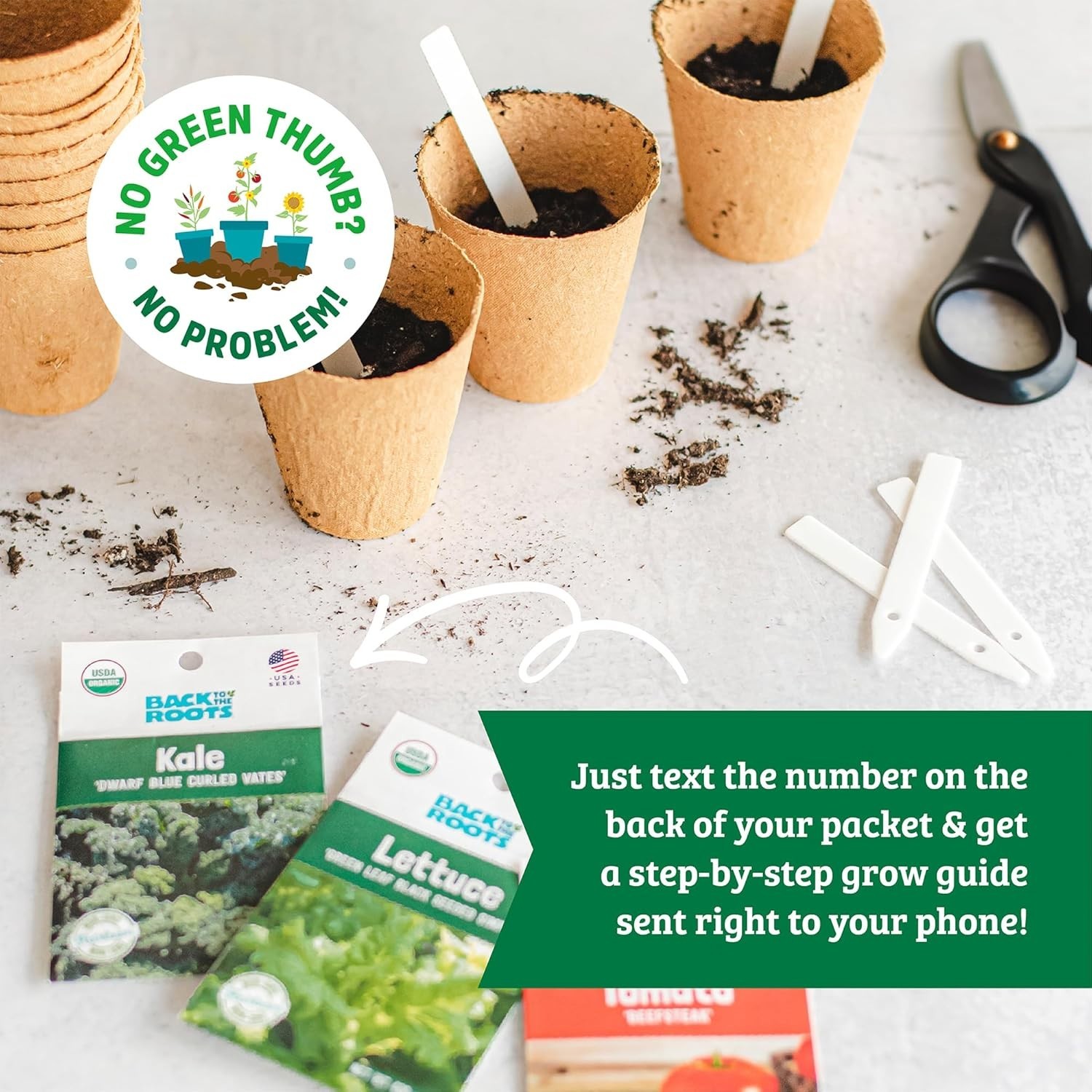 Assorted 30pk Organic Non-GMO Seeds – Perfect for -Round Gardening Success