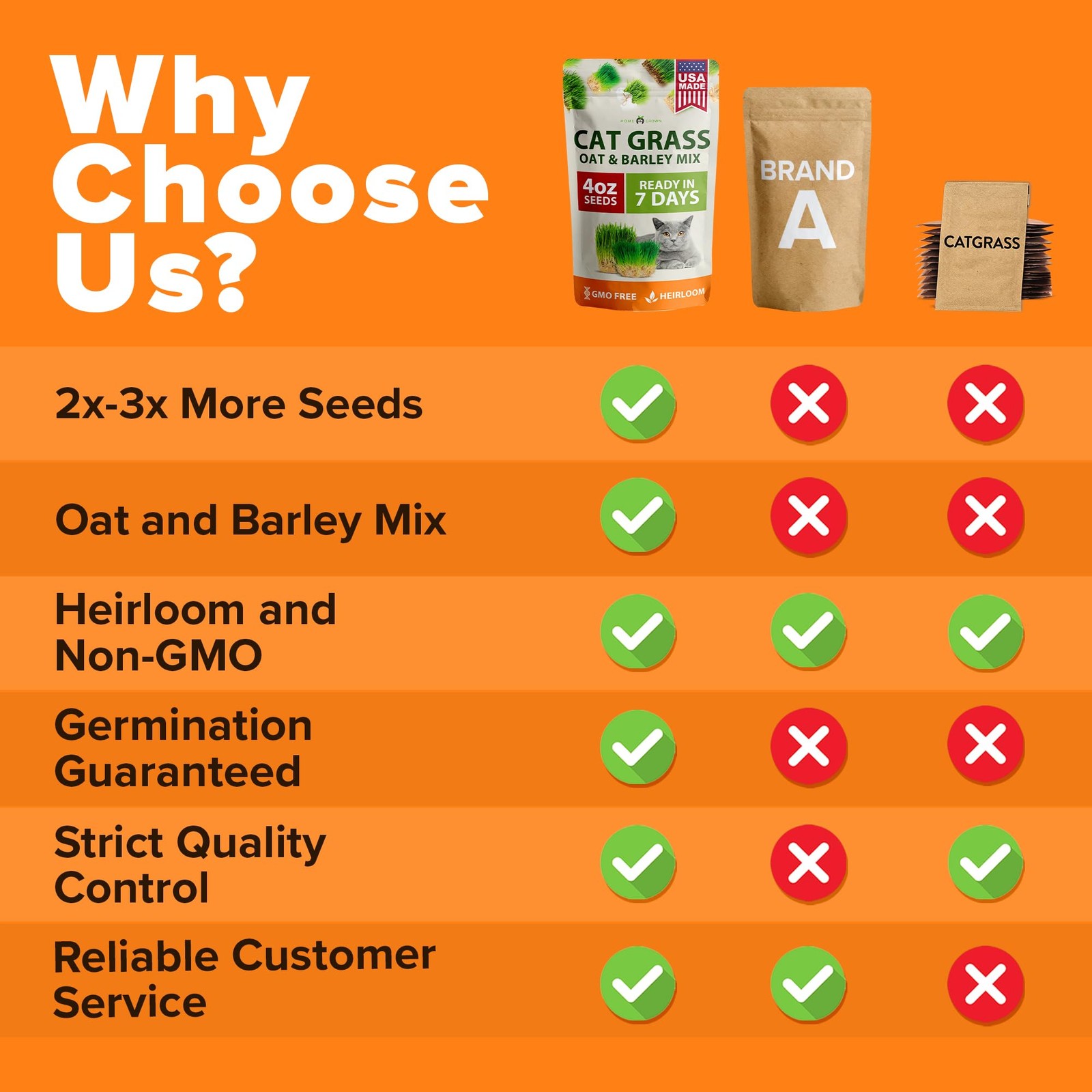 Indoor Cat Grass Seeds Mix – Digestive Oat & Barley Refill Kit 4 oz