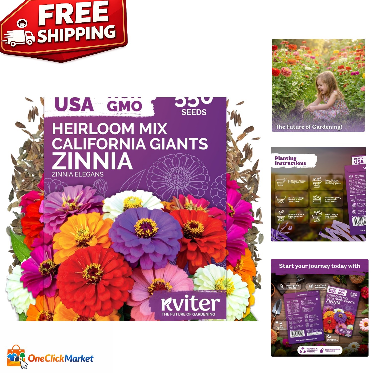 California Giant Zinnia Seeds – 550 Count, Attracts Butterflies & Hummingbirds