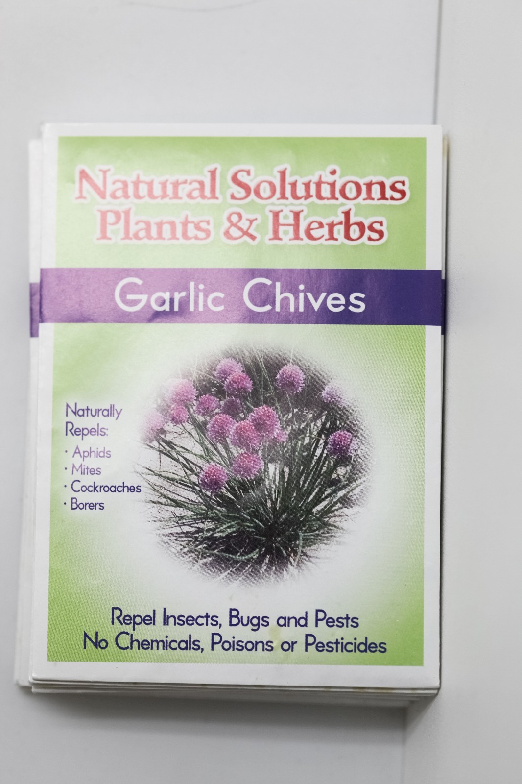 Natural Solutions Plants & Herbs Variety 10 pack of Seeds Holistic Remedies Pest