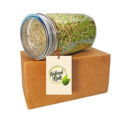 Variety Pack Sprouting Seeds Broccoli, Alfalfa, Radish, Mung beans & Salad Mi…