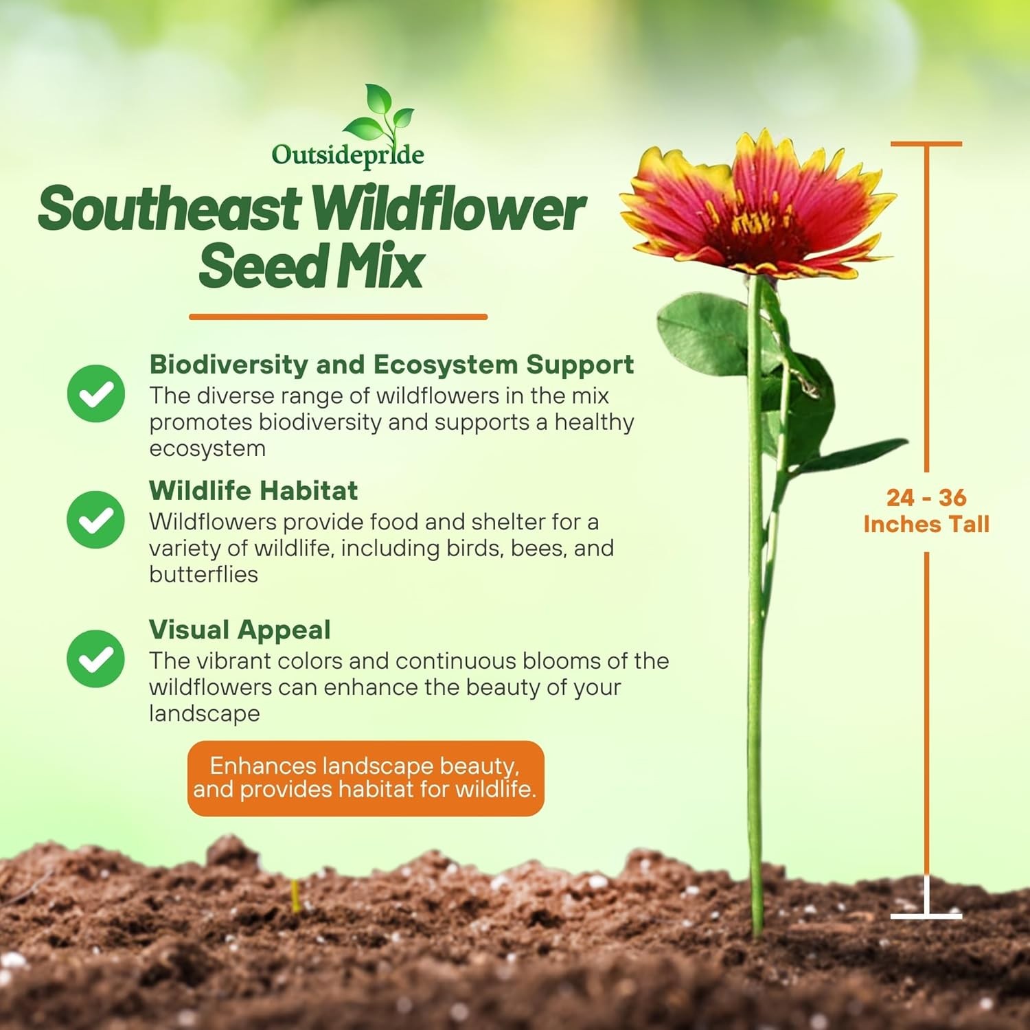 5 LBS Southeast regional wildflower seed from Outsidepride.