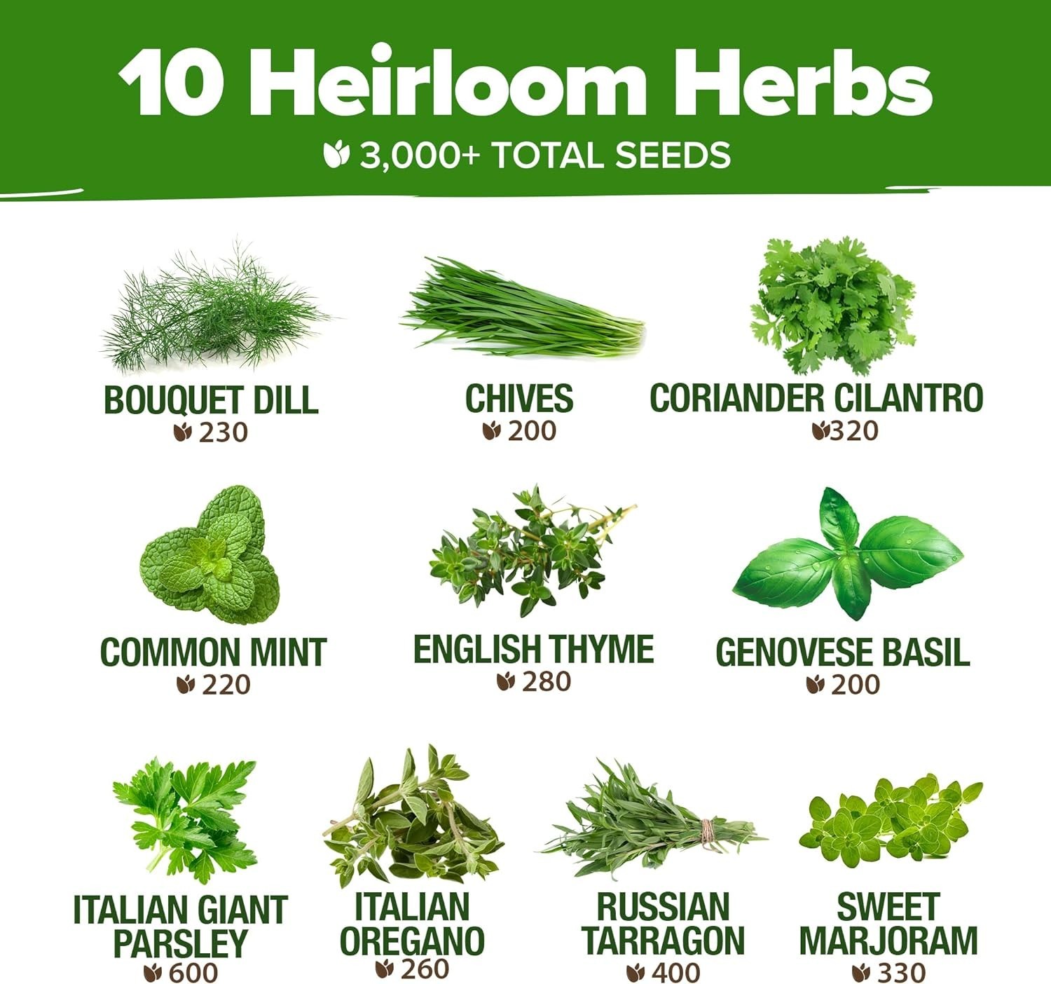 Complete Herb Seed Vault – 10-Pack Gourmet Culinary Herb Kit with 3,000+ Heir…