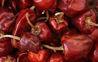 Cherry Bomb Hot Chilli Pepper 50+ seeds 100% organic Non GMO