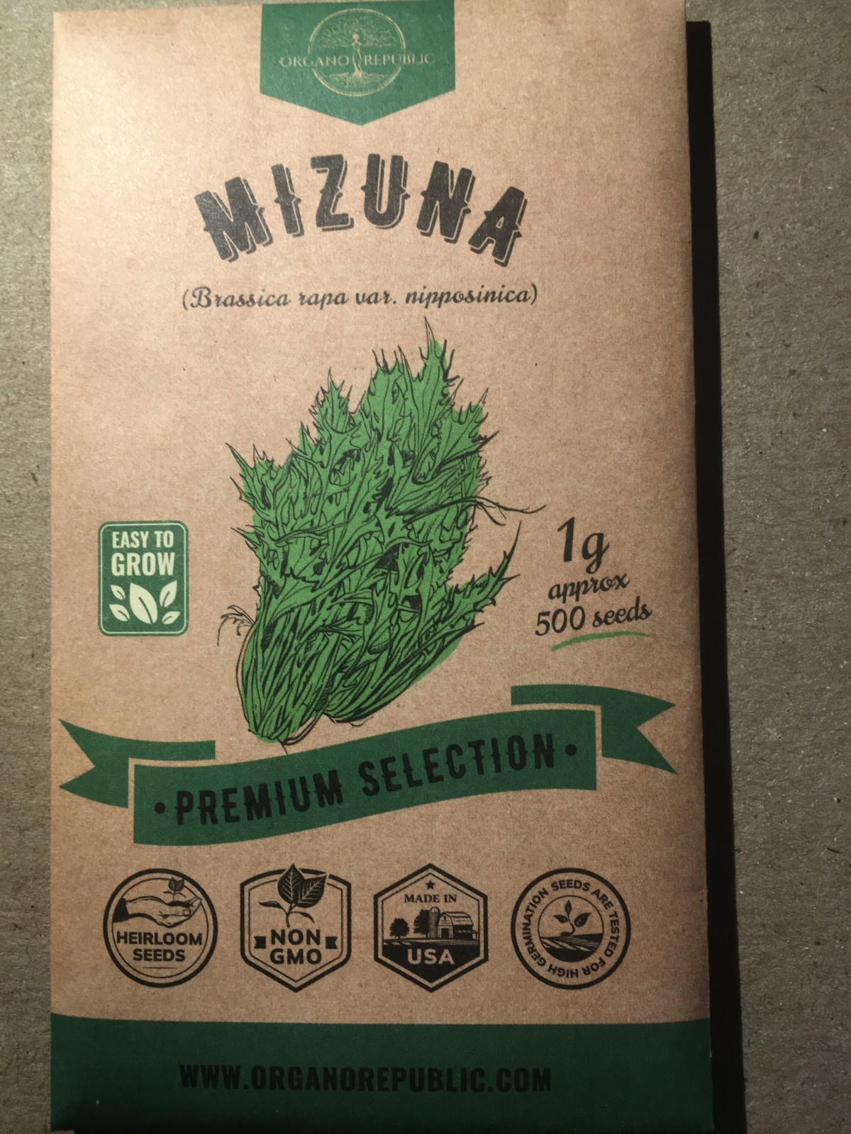 Mizuna Brassica rapa var Nipposinica Seeds – Organo Republic
