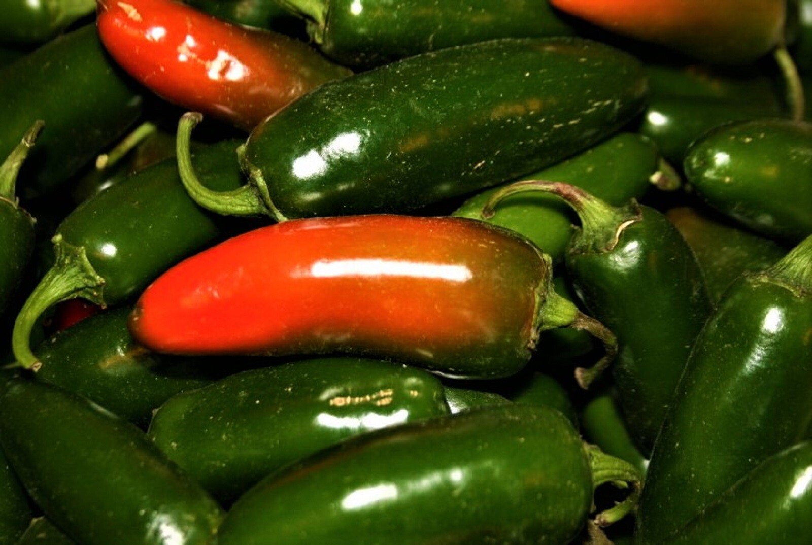 Hot Pepper Seeds Jalapeno M 50+ SEEDS NON-GMO –BUY 4 ITEMS FREE SHIPPING