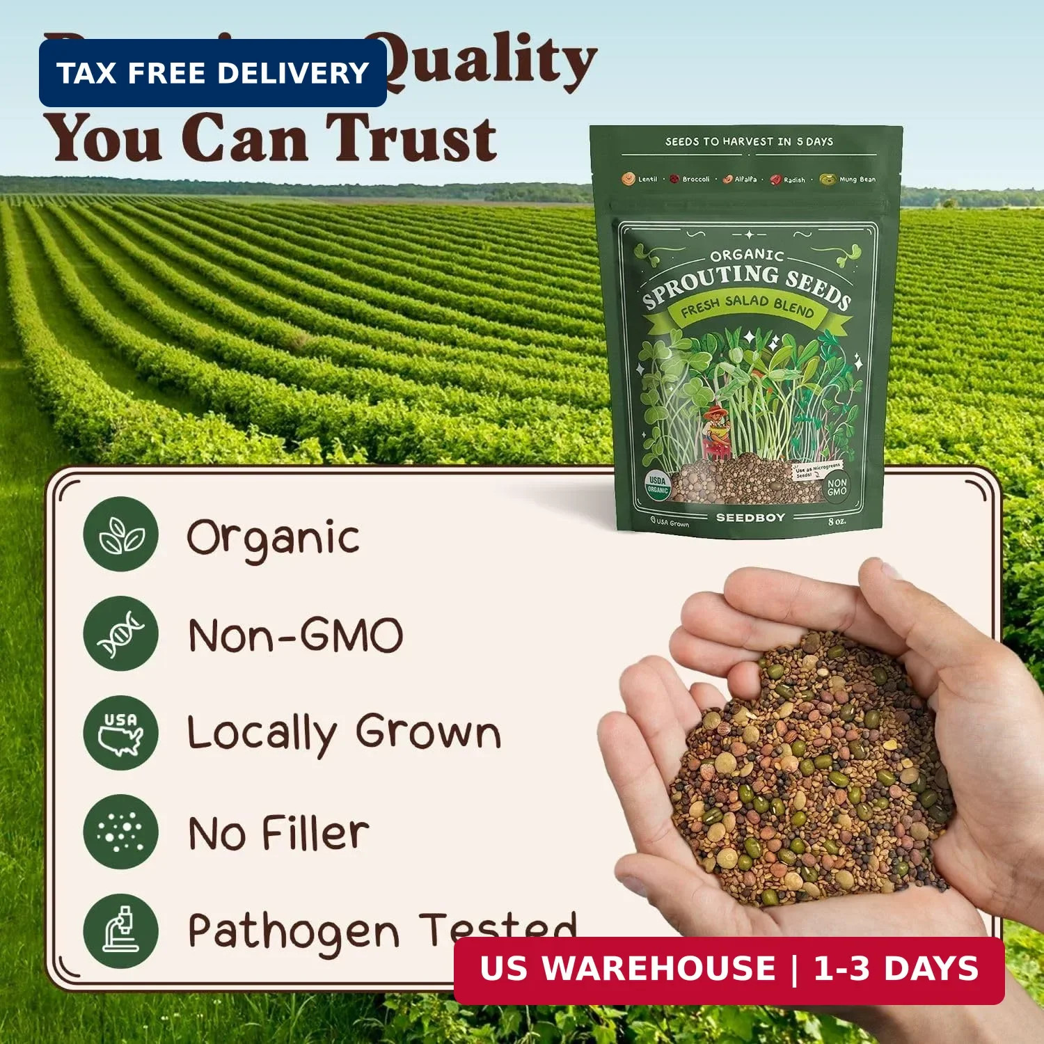 Seedboy Organic Non-GMO Sprouting Seeds, Fresh Salad Blend – USA Grown Microgree