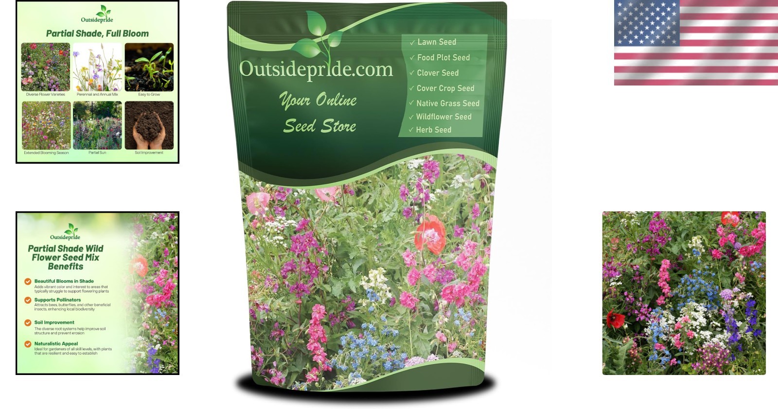 Diverse 1 lb Wildflower Seed Mixture for Partial Shade – Blooms Spring to Fall
