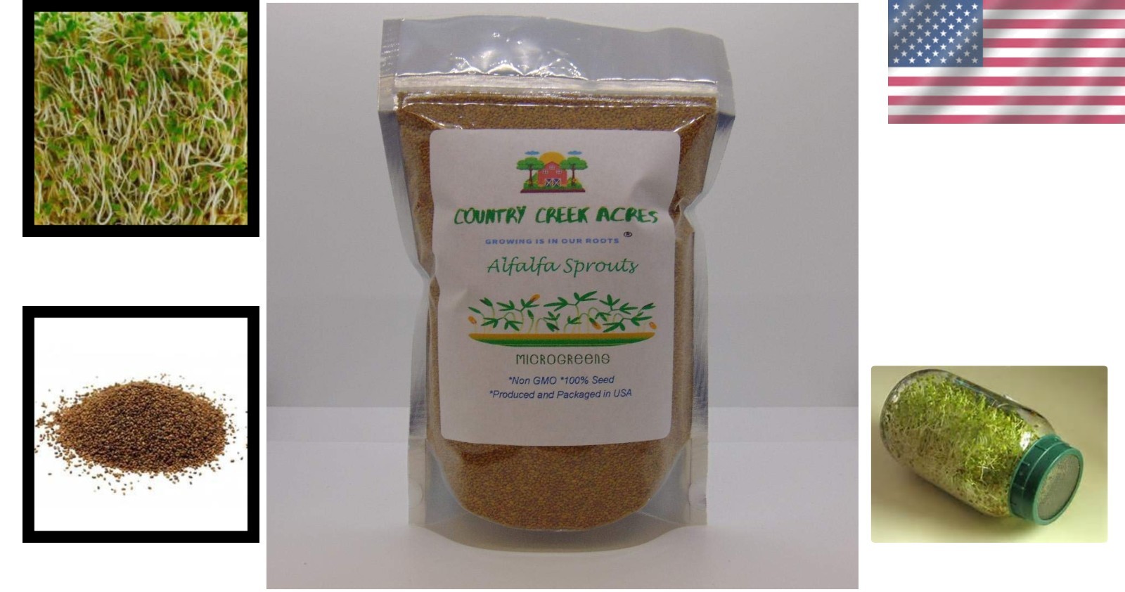 Nutritious 4 oz Alfalfa Sprouting Seeds – Grow Delicious Edible Sprouts at Home