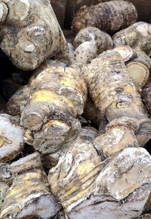 Apios Root 3 To 4 Pounds Product Of Dominican Republic