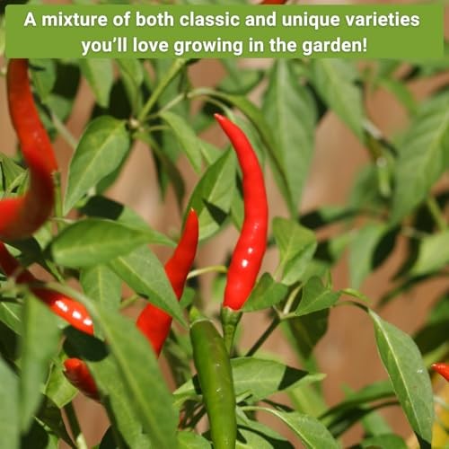 – Asian Garden Seeds for Planting – Includes Basil, Celery, Bunching Onion,