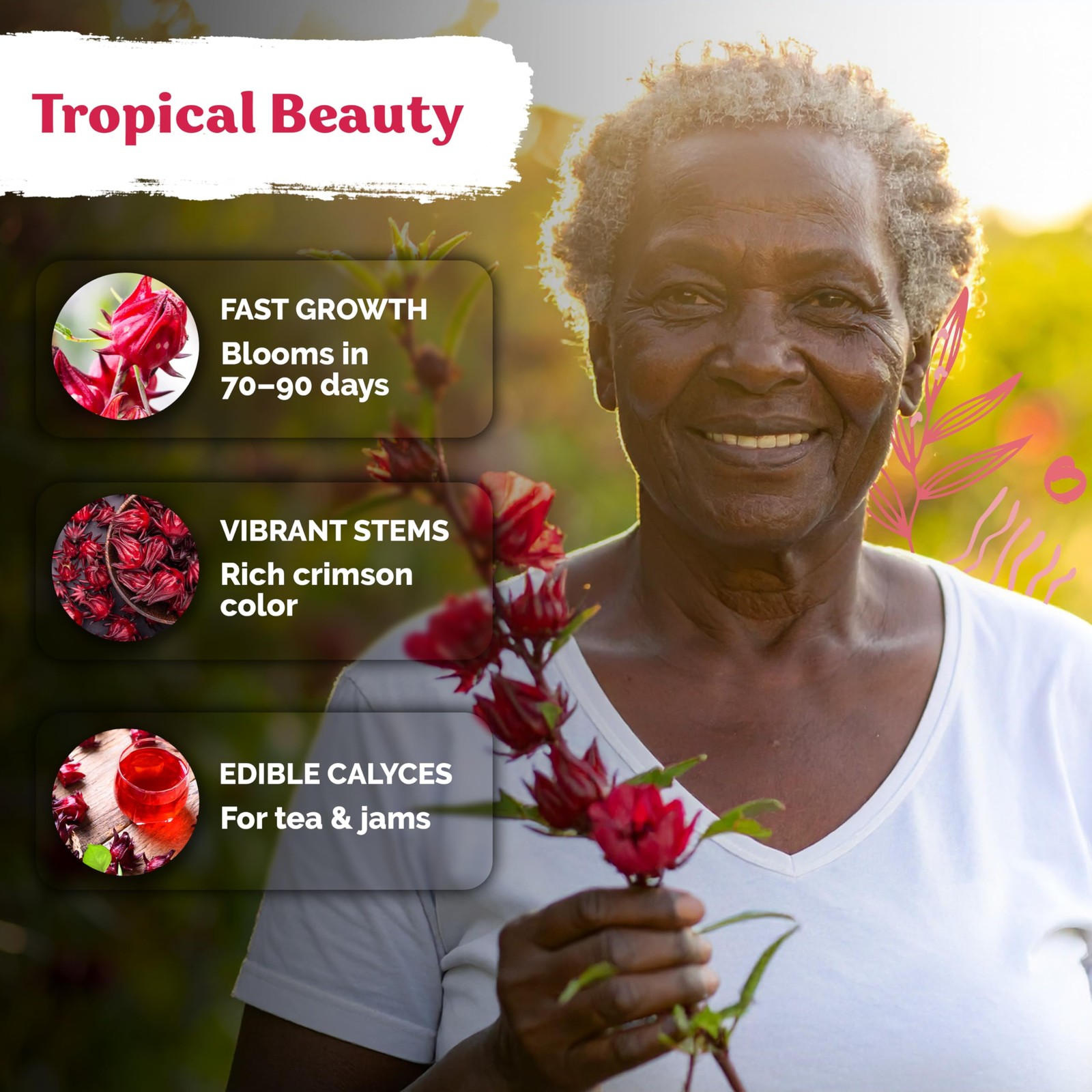 KVITER 300 Roselle Seeds for Planting (Hibiscus Sabdariffa), 2 Pack
