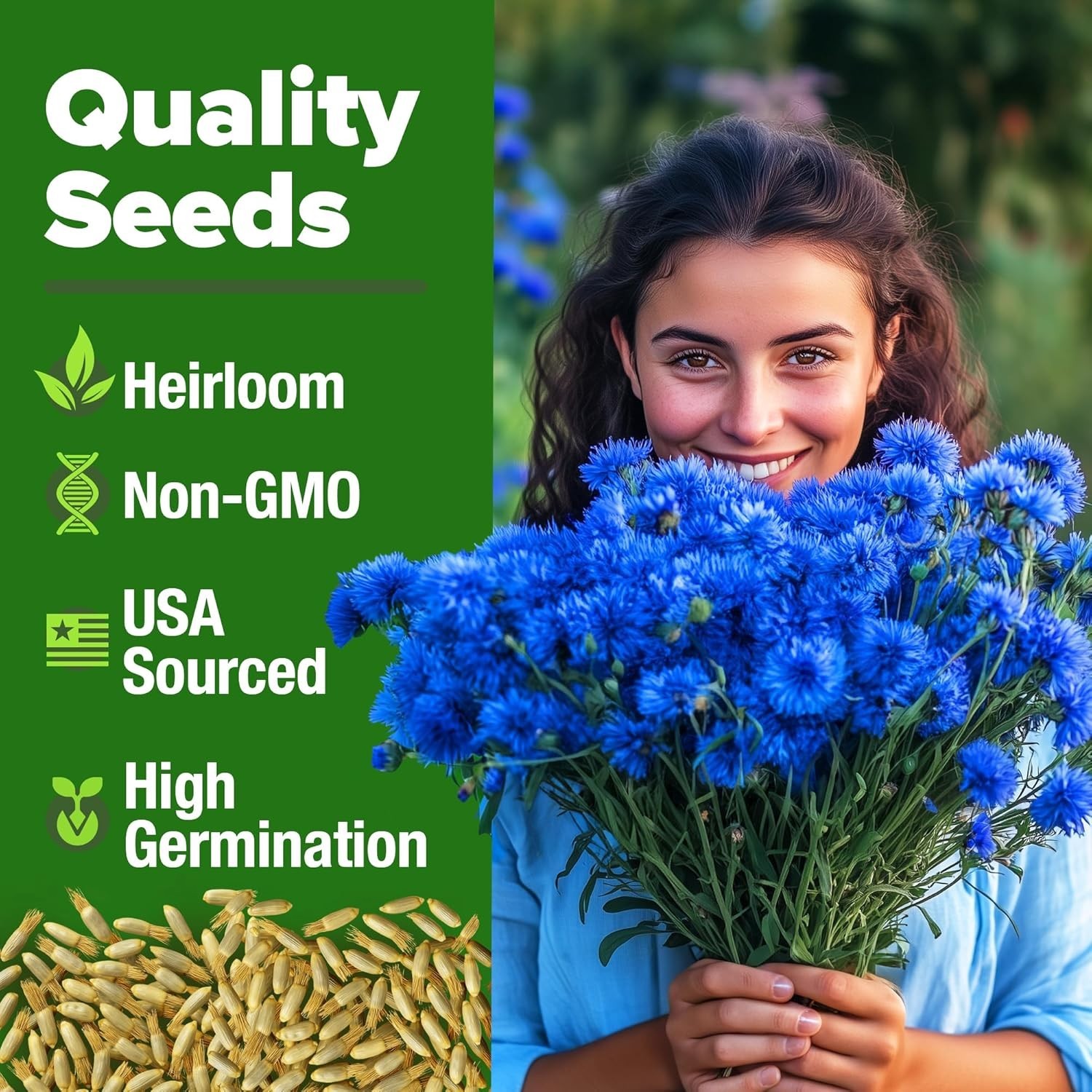 6000 Bachelor Button Seeds – Tall Blue Blooms for Low-Maintenance Wildflower …